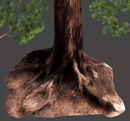 Sequoia Pine Tree  Low-poly 3D model