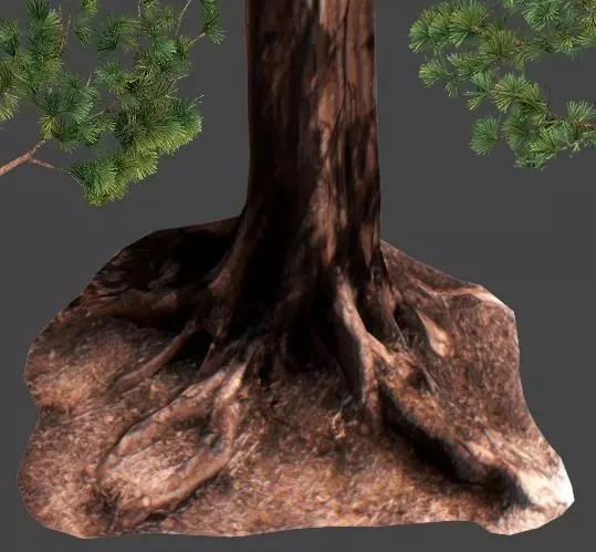 Sequoia Pine Tree  Low-poly 3D model_0