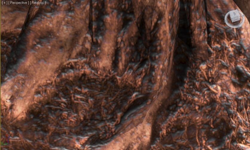 Sequoia Pine Tree  Low-poly 3D model_5