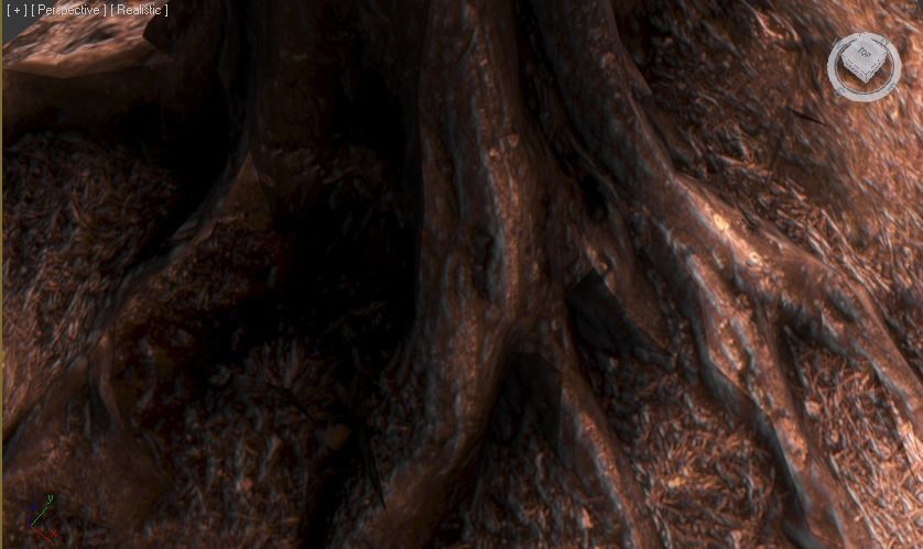 Sequoia Pine Tree  Low-poly 3D model_6