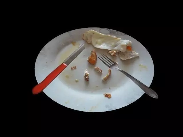 Plate Leftovers Free 3D model