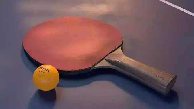 Ping Pong Paddle