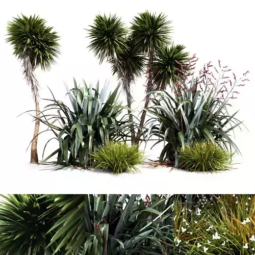 Oceania Plant Set 3D model