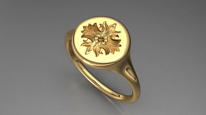 seal ring 12 3D print model