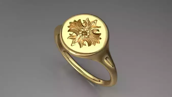 seal ring 12 3D print model