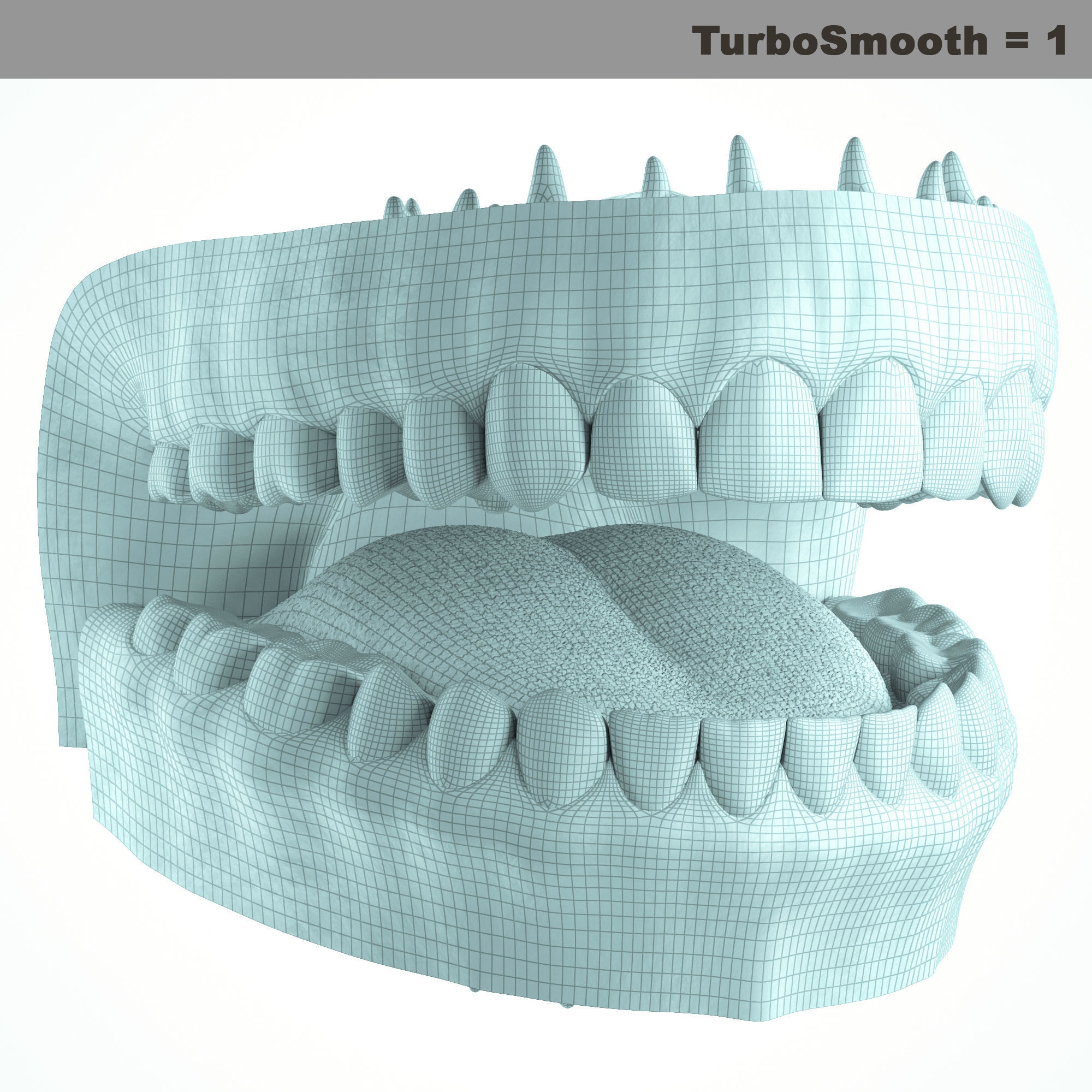 Realistic Human Mouth model 3D model_29