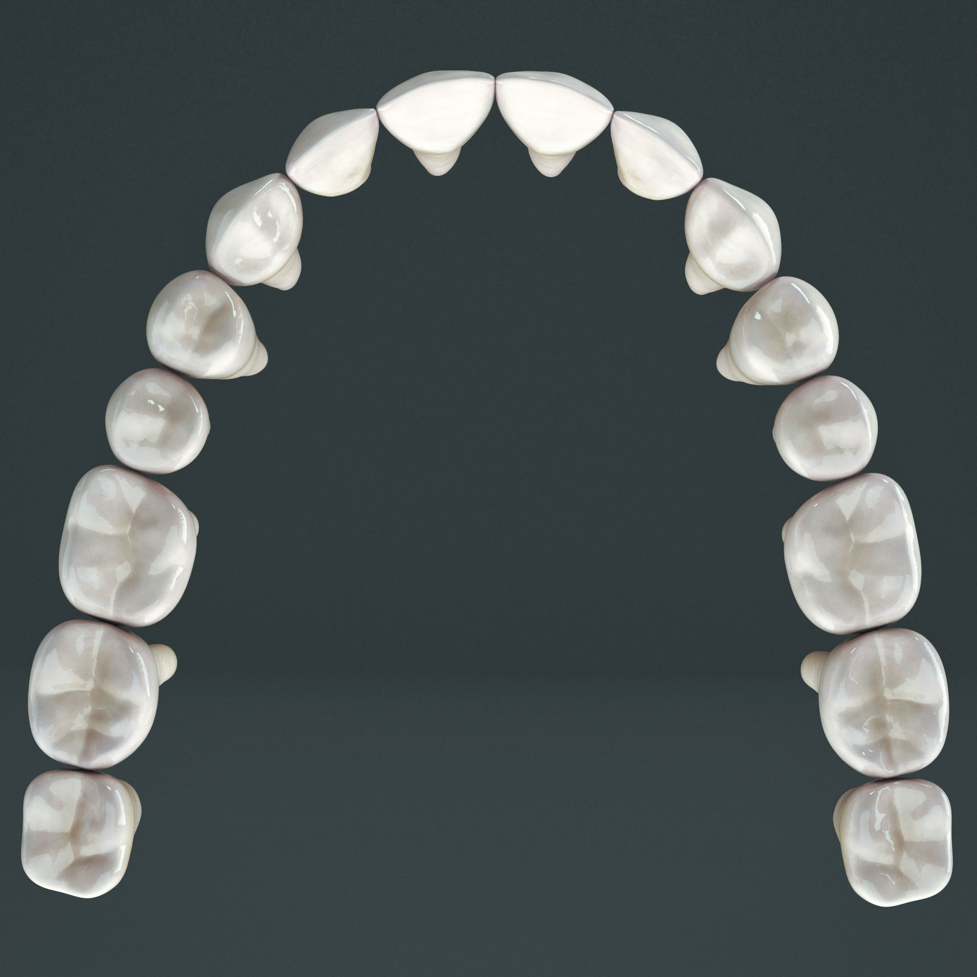 Realistic Human Mouth model 3D model_9