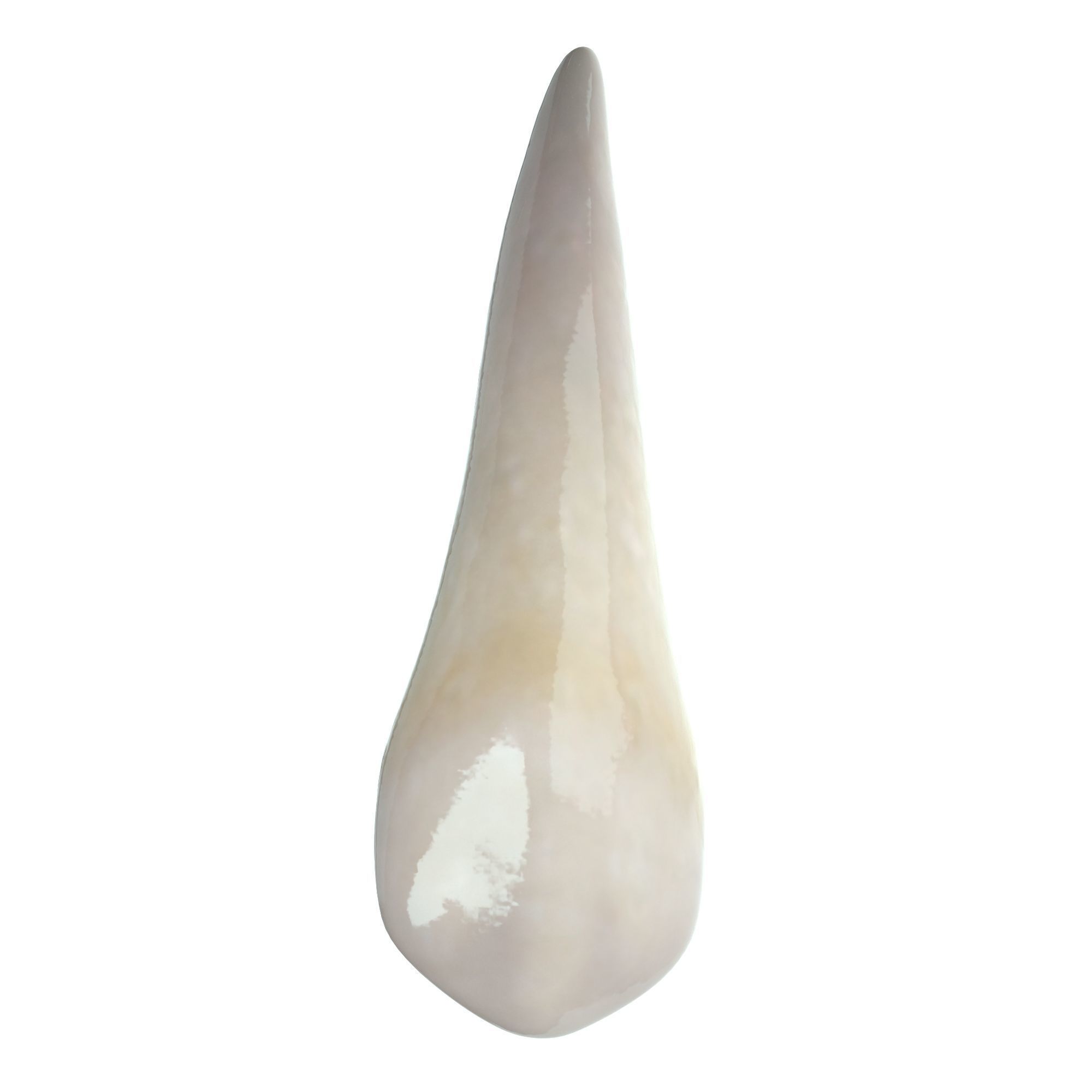 Realistic Human Mouth model 3D model_26