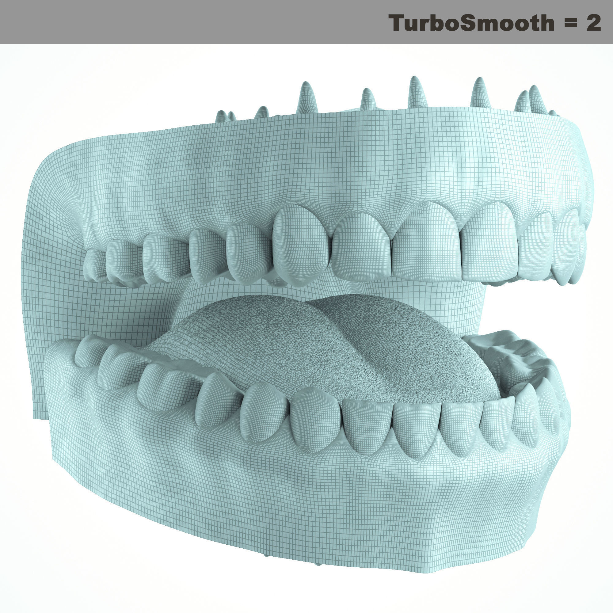 Realistic Human Mouth model 3D model_30