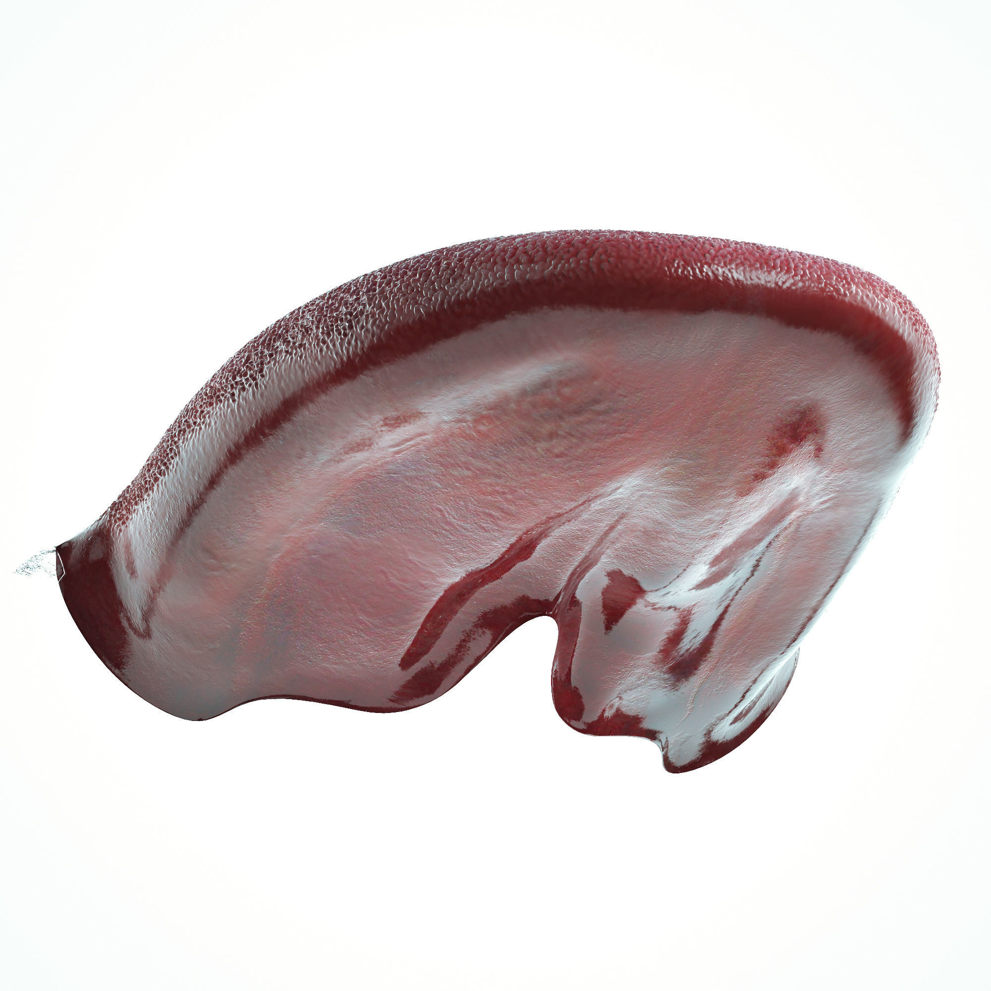 Realistic Human Mouth model 3D model_8