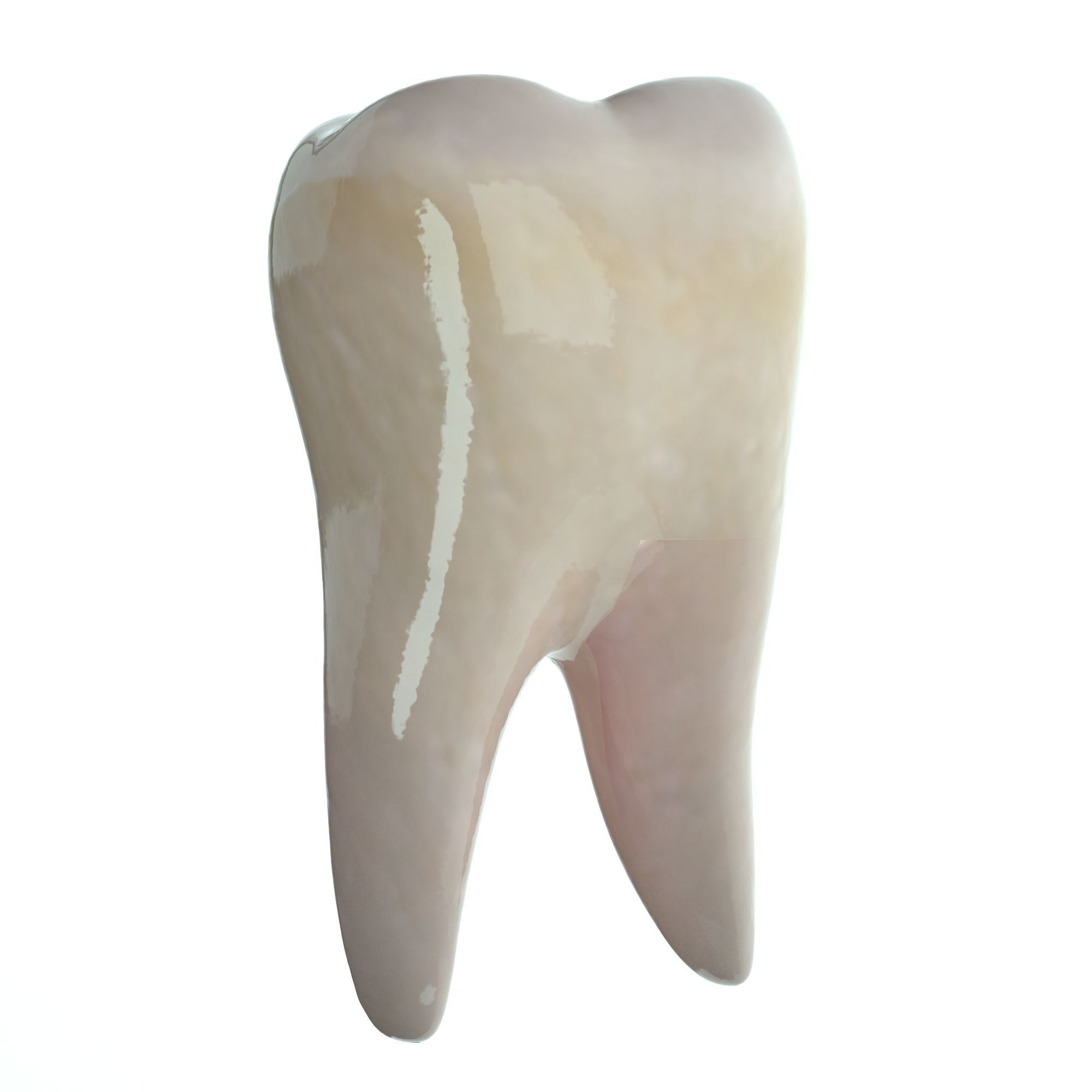 Realistic Human Mouth model 3D model_25