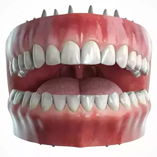 Realistic Human Mouth model 3D model
