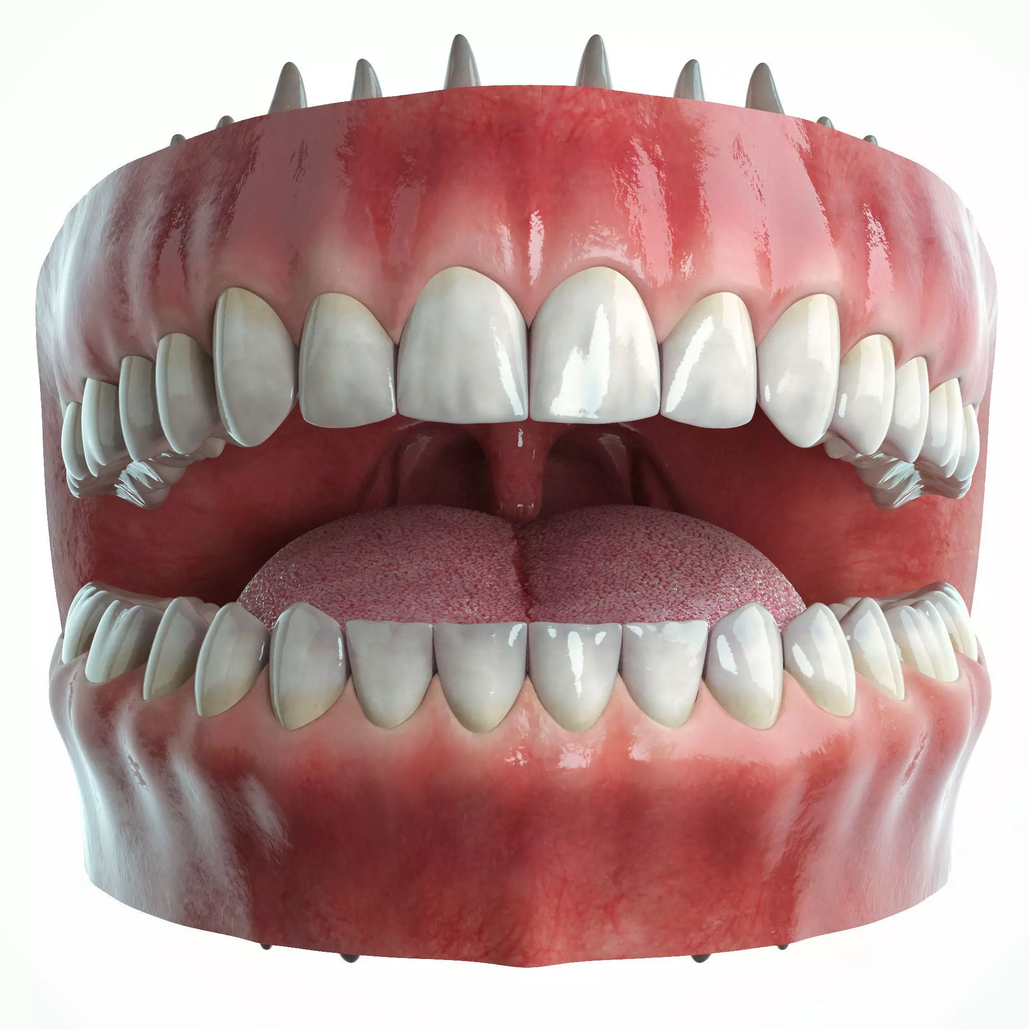 Realistic Human Mouth model 3D model_0