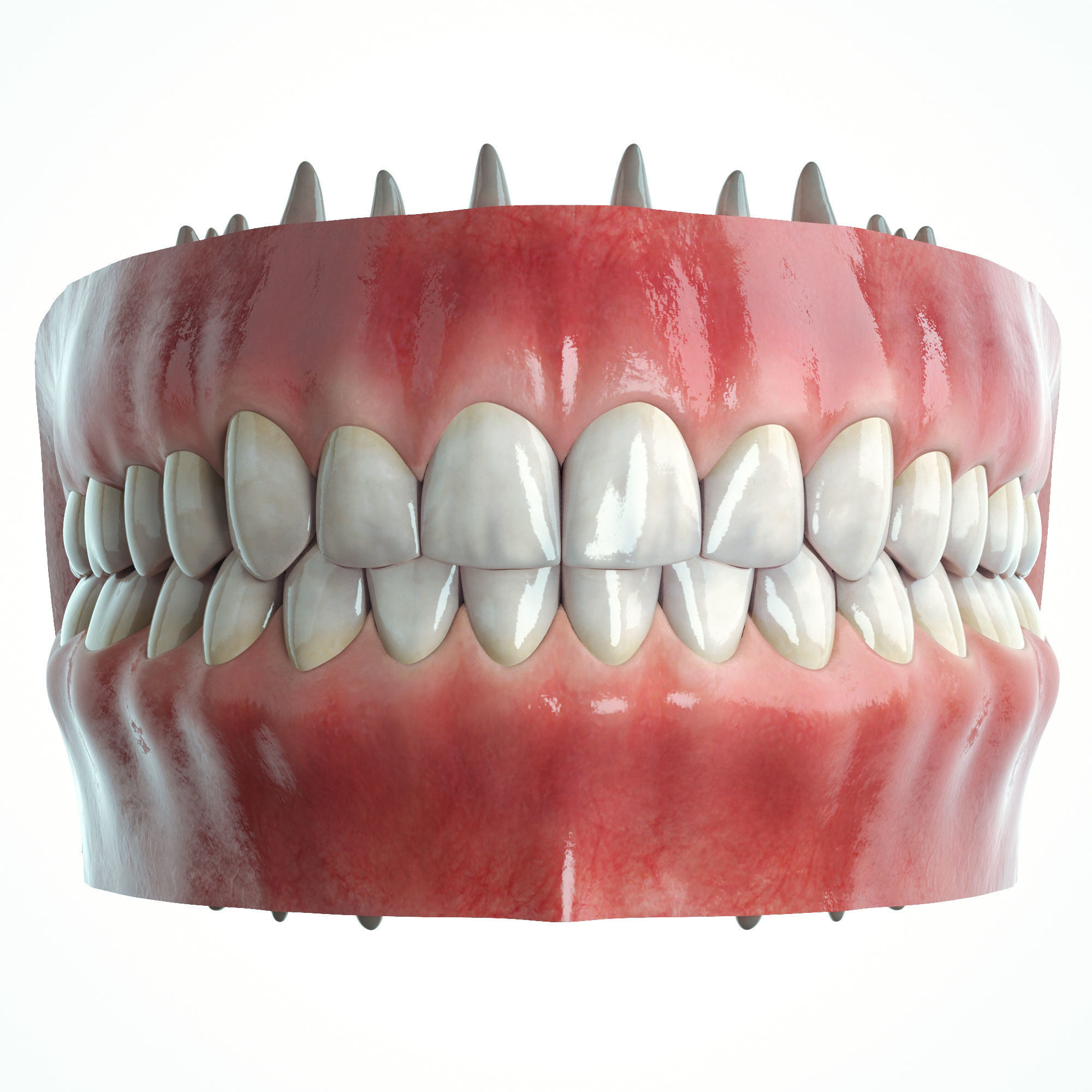 Realistic Human Mouth model 3D model_2