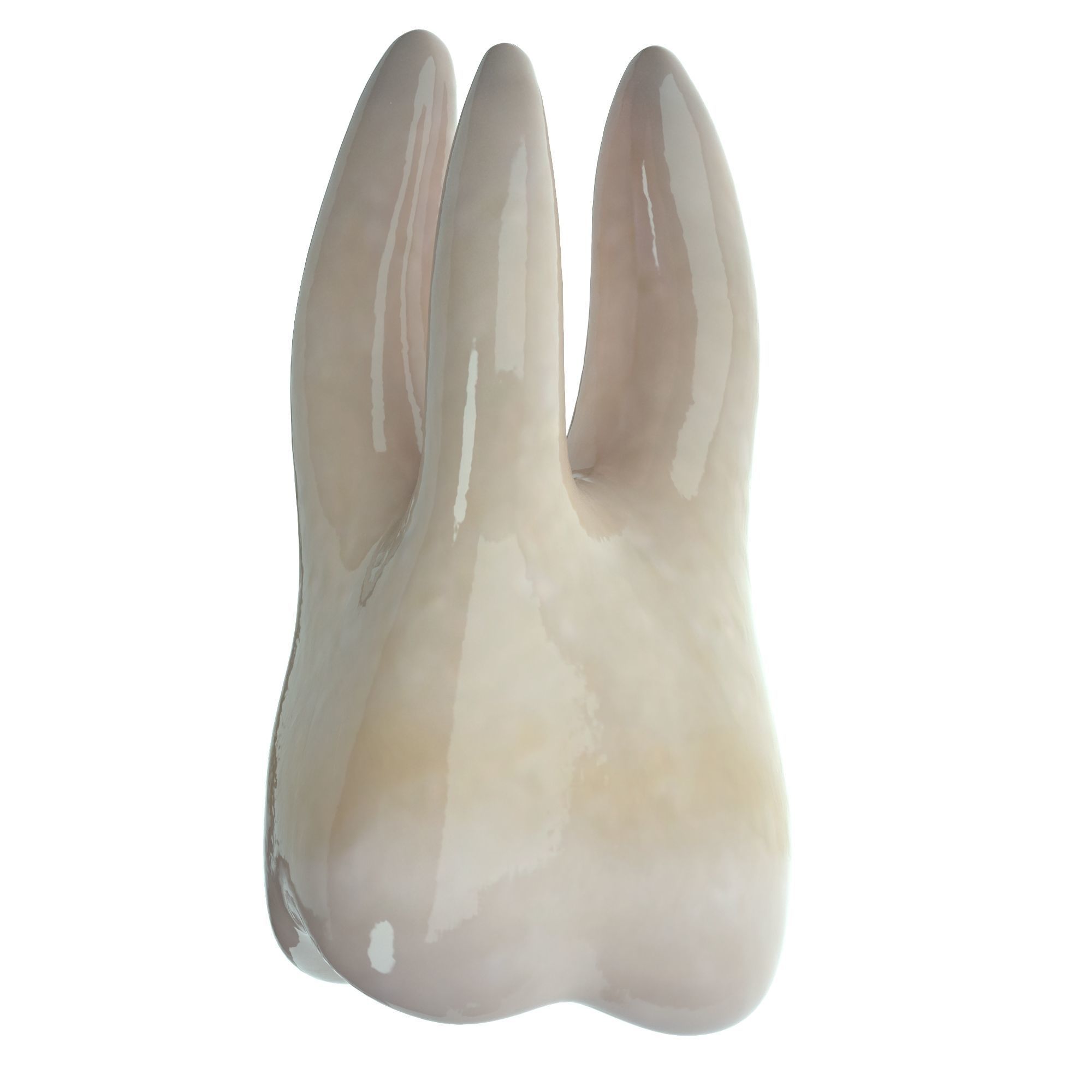 Realistic Human Mouth model 3D model_23