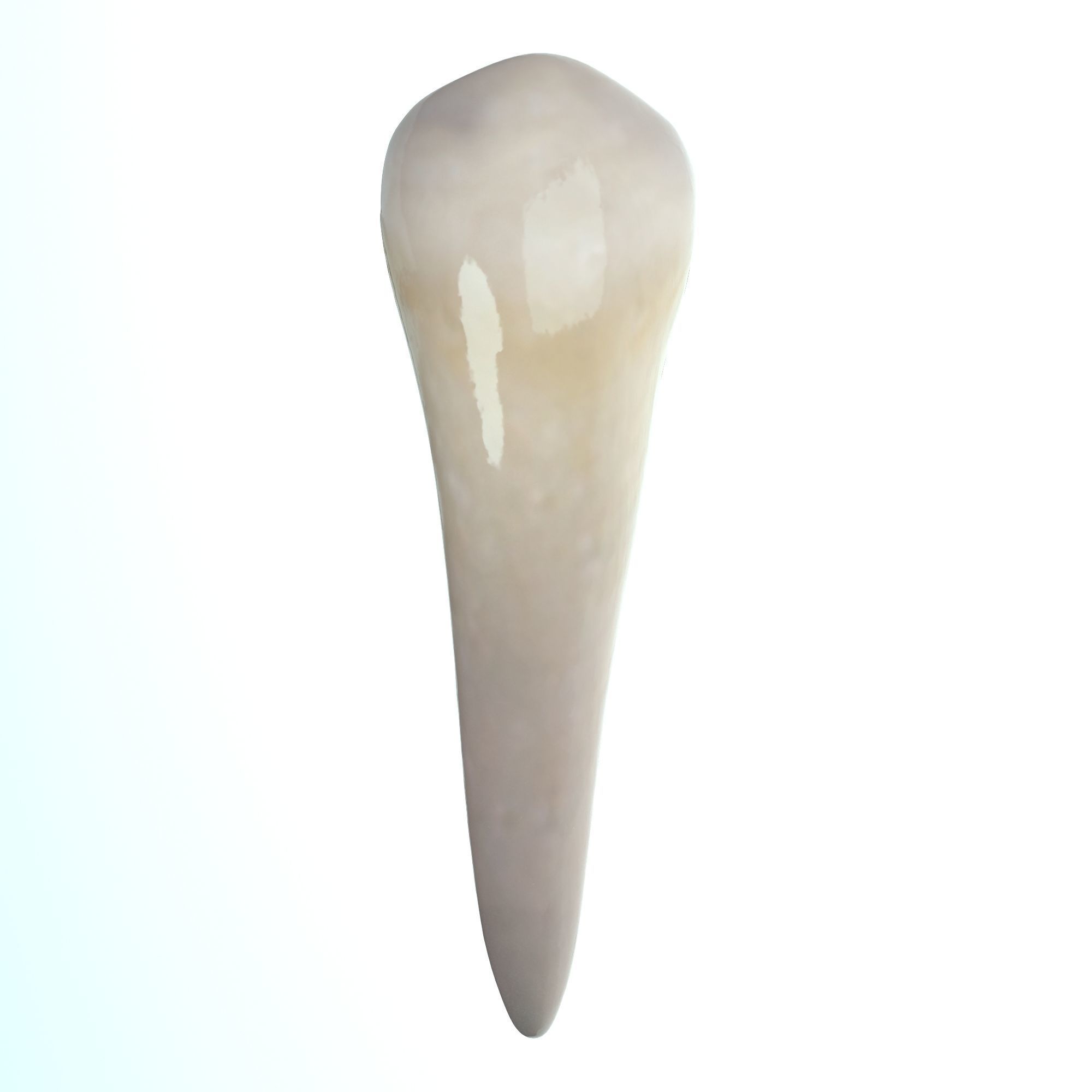 Realistic Human Mouth model 3D model_18