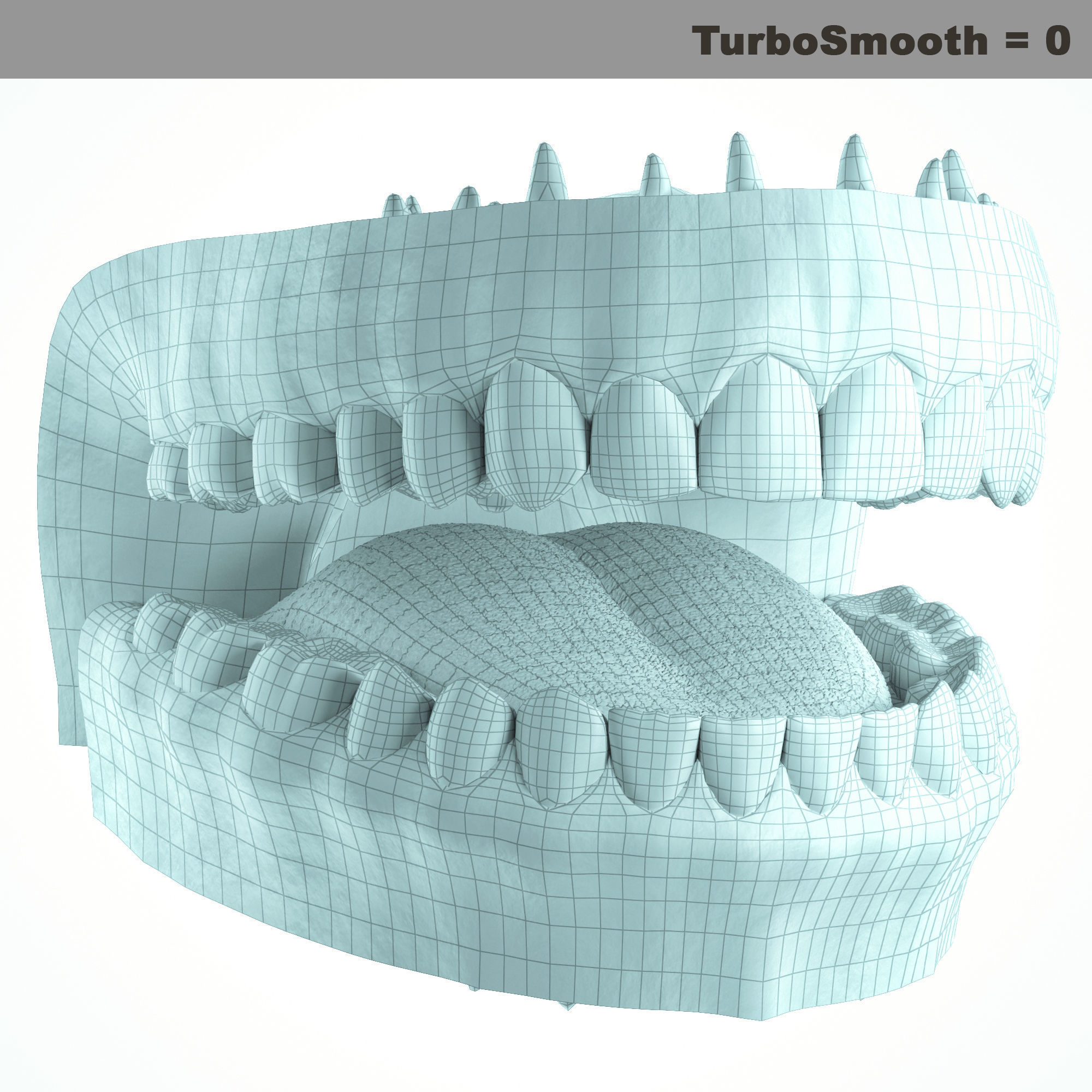 Realistic Human Mouth model 3D model_28