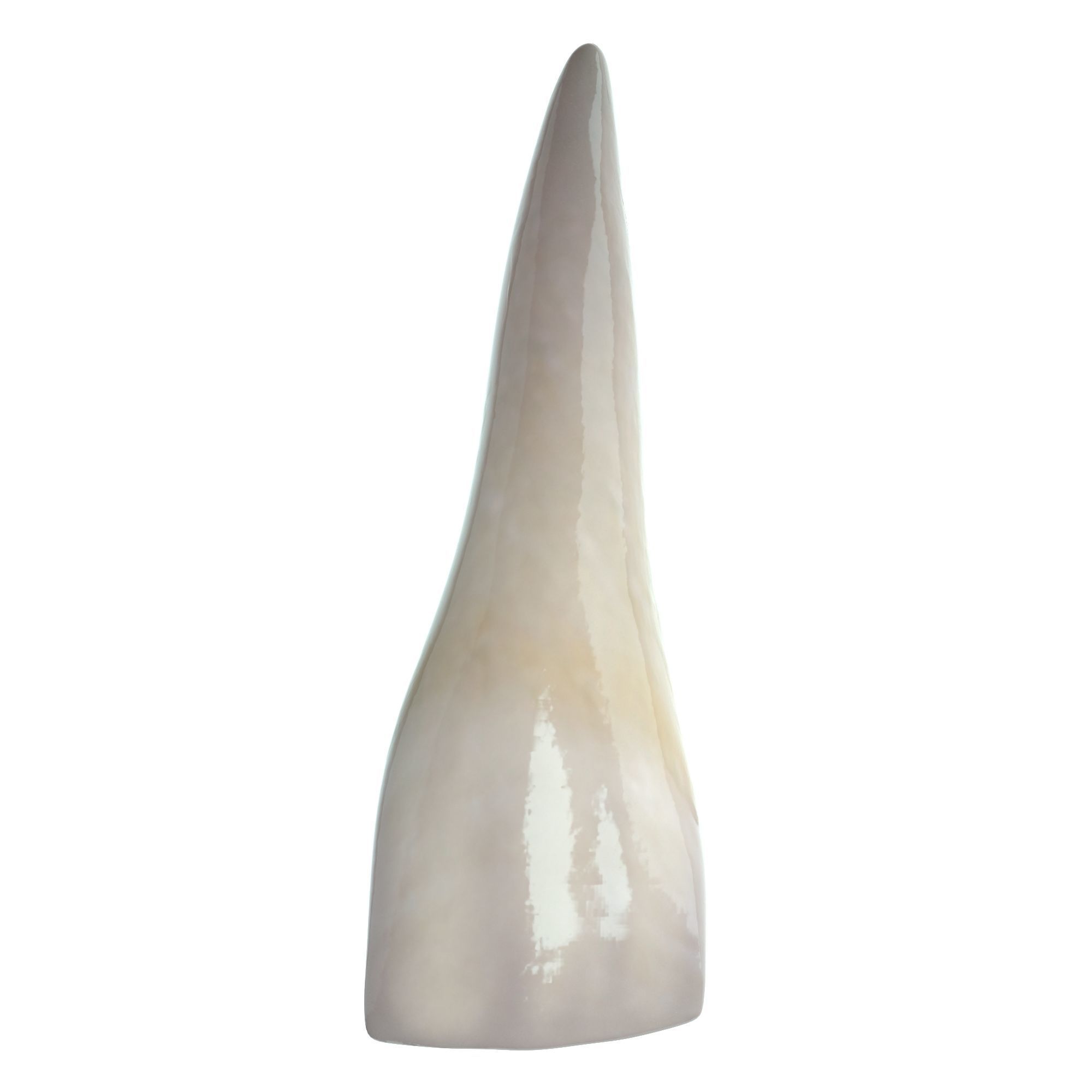 Realistic Human Mouth model 3D model_20