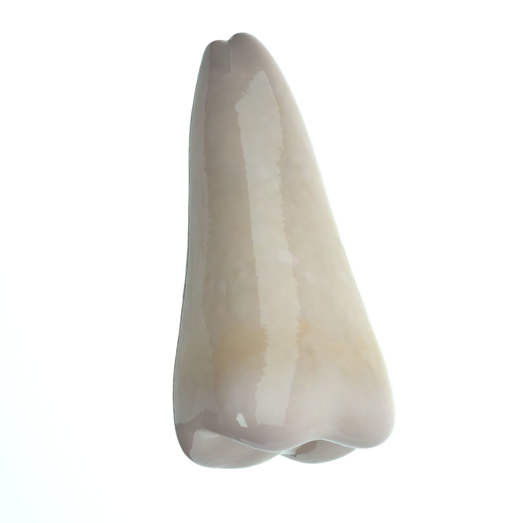 Realistic Human Mouth model 3D model_19