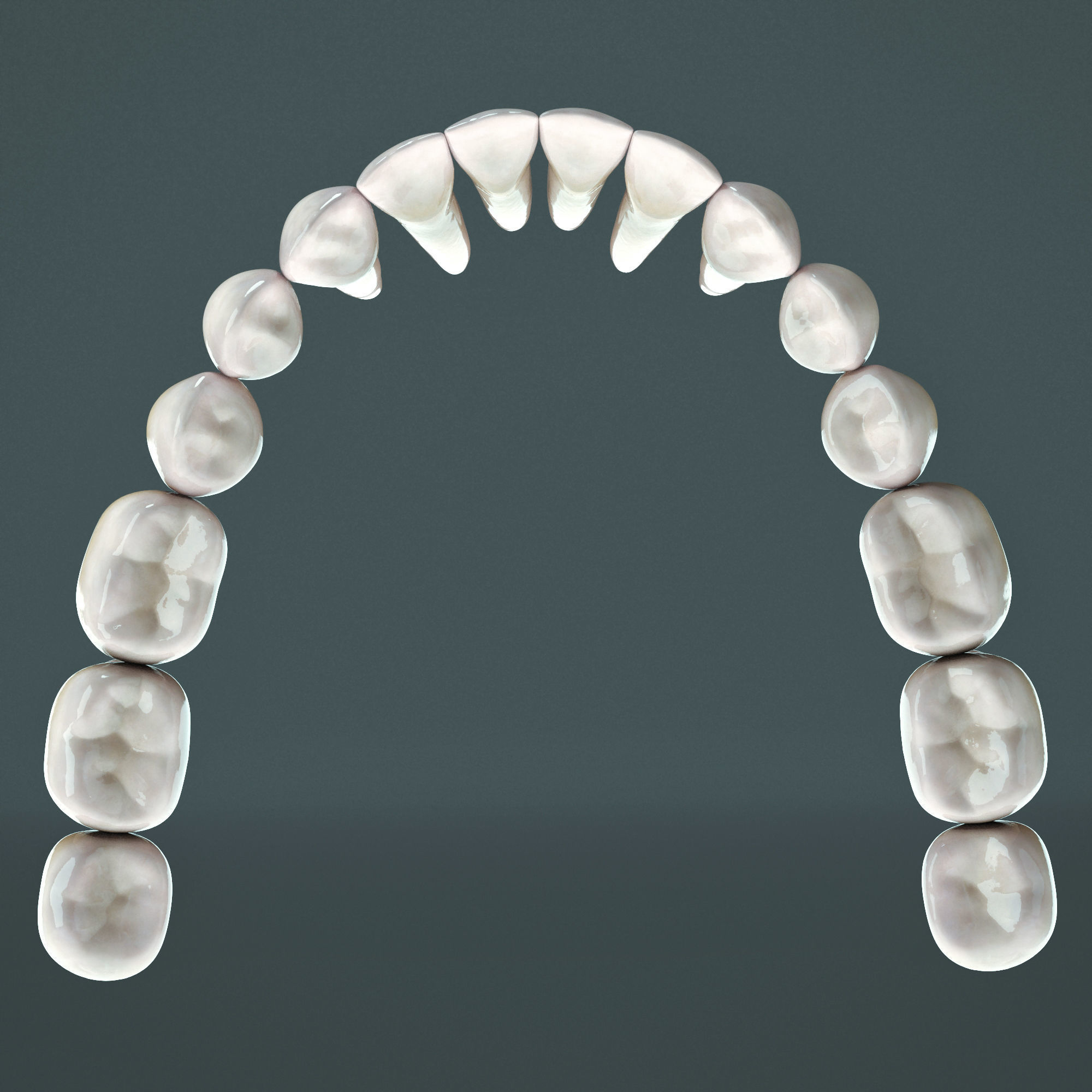 Realistic Human Mouth model 3D model_10