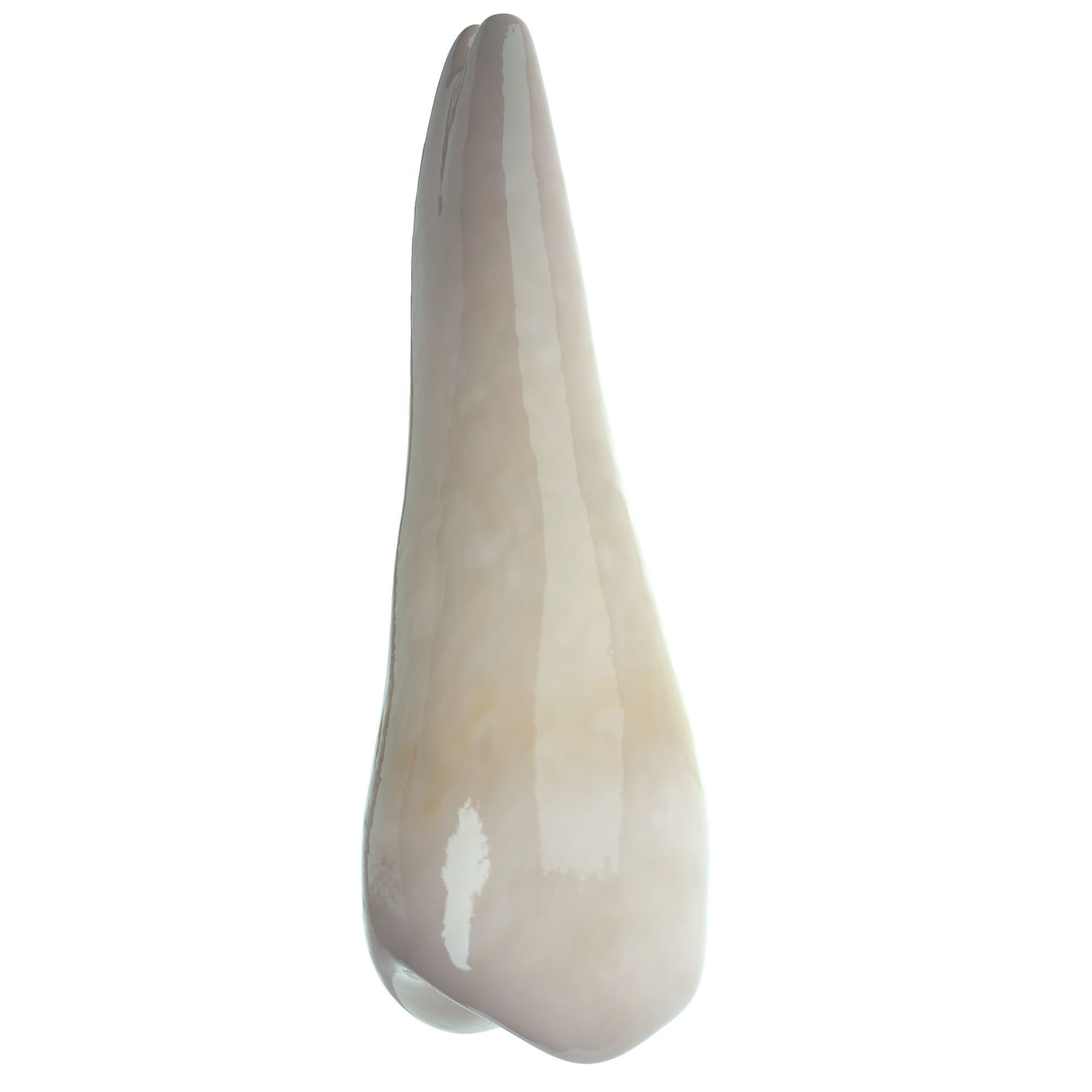 Realistic Human Mouth model 3D model_17