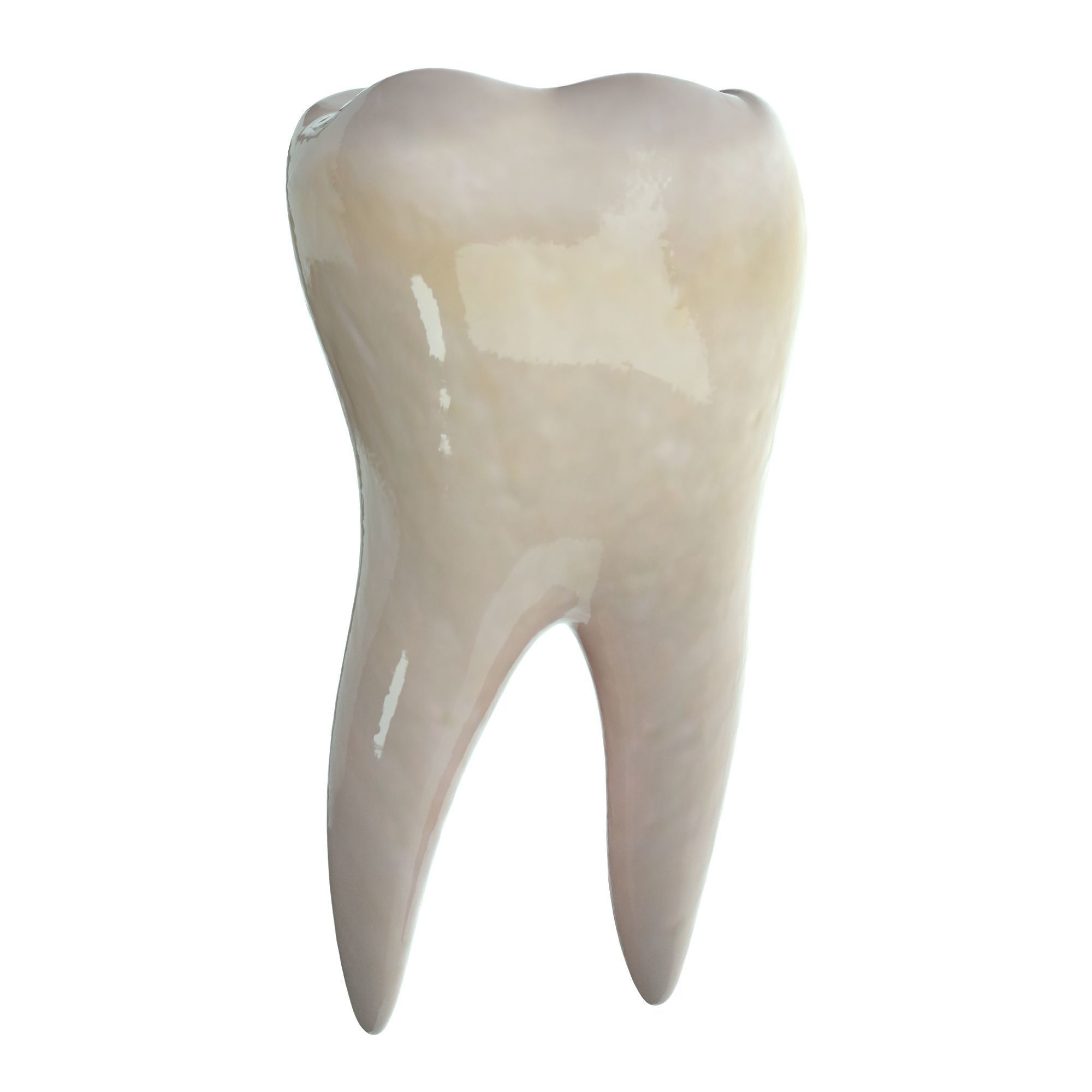 Realistic Human Mouth model 3D model_21