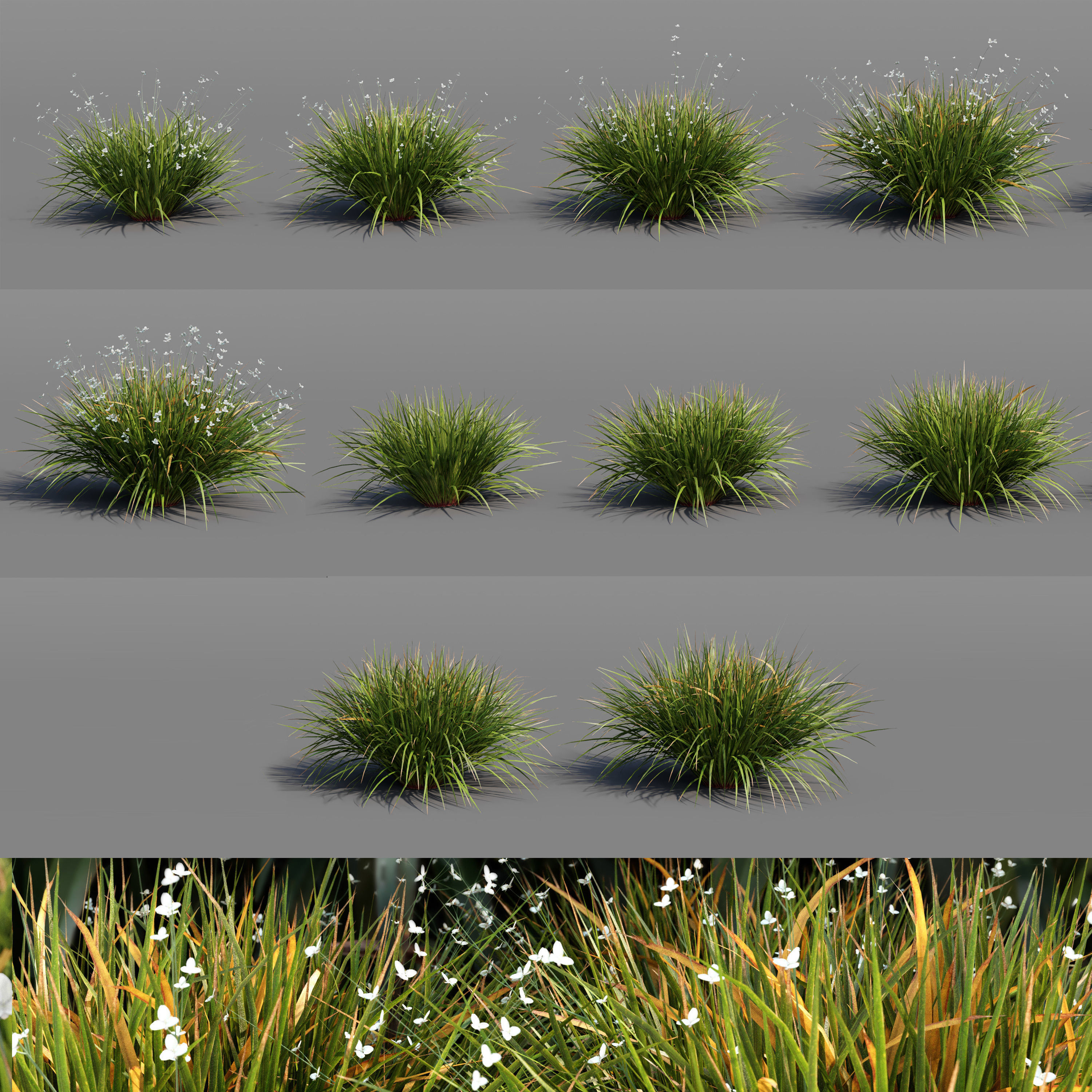 Libertia Grandiflora - 10 Modular Pieces 3D model_1