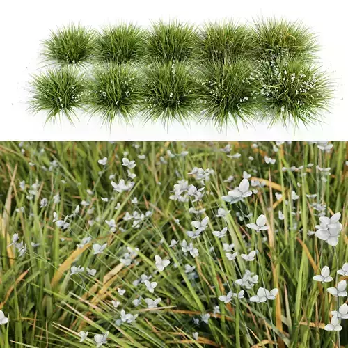 Libertia Grandiflora - 10 Modular Pieces 3D model