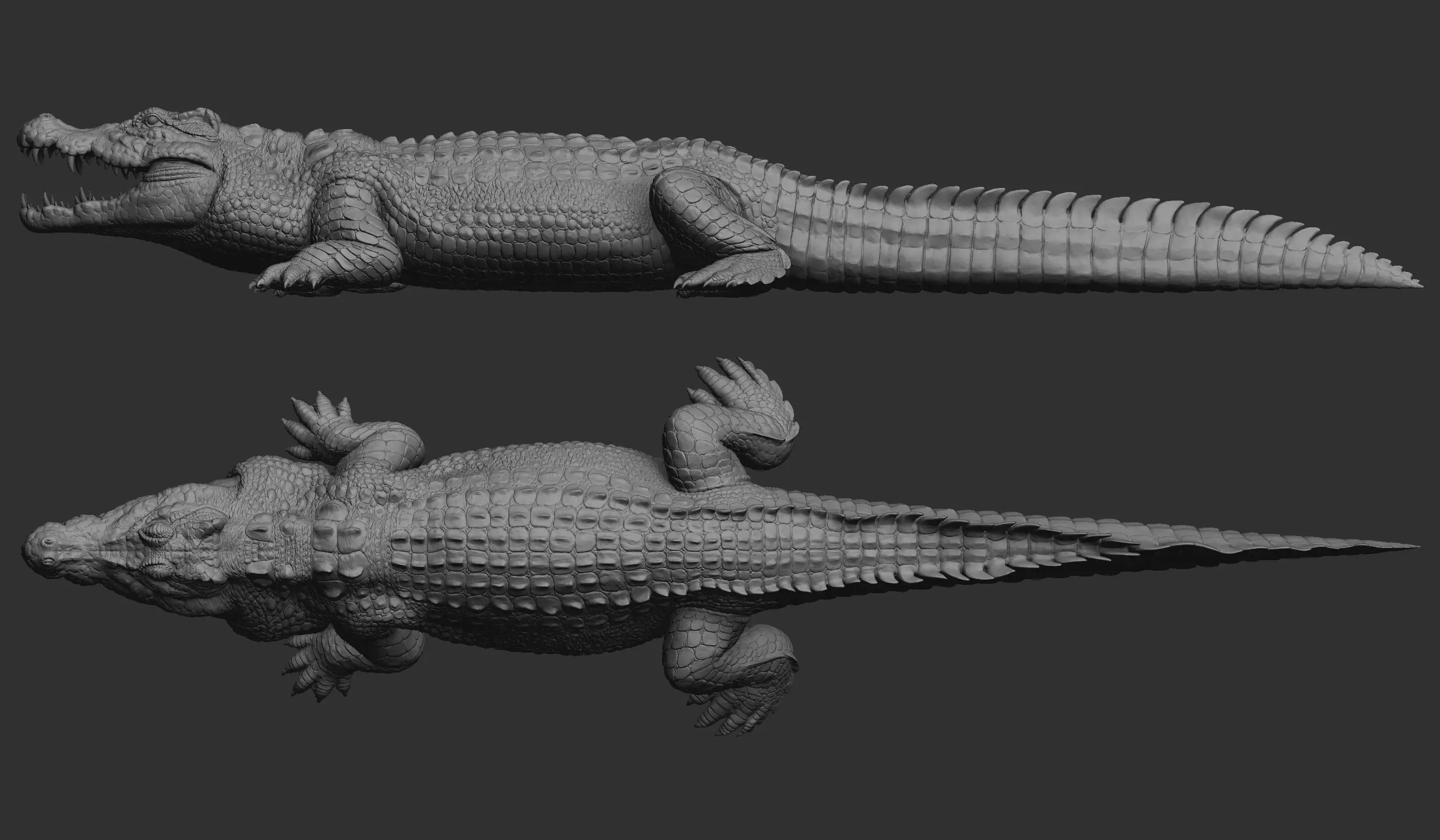 Hight detailed crocodile model 3D model_0
