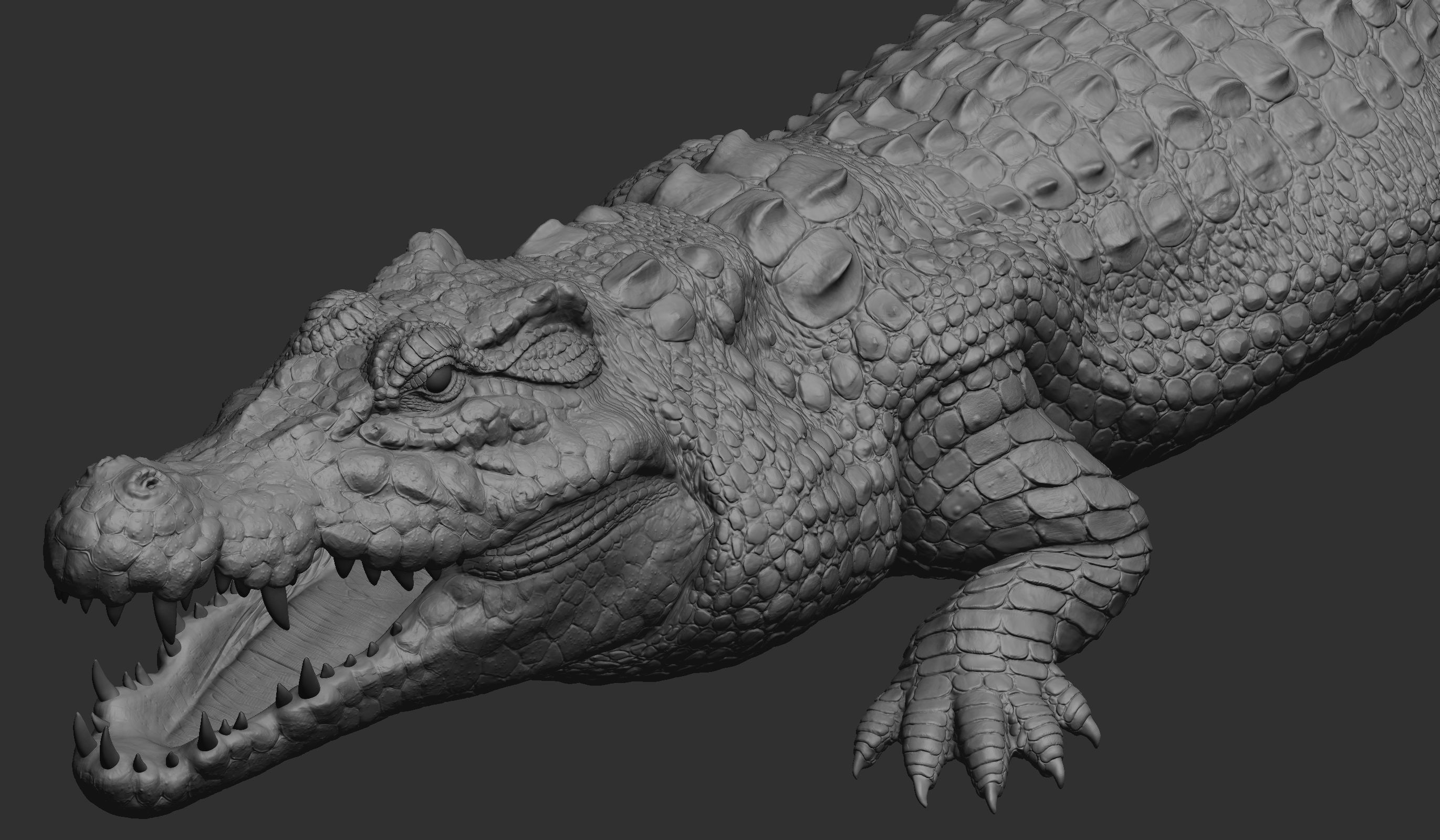 Hight detailed crocodile model 3D model_1