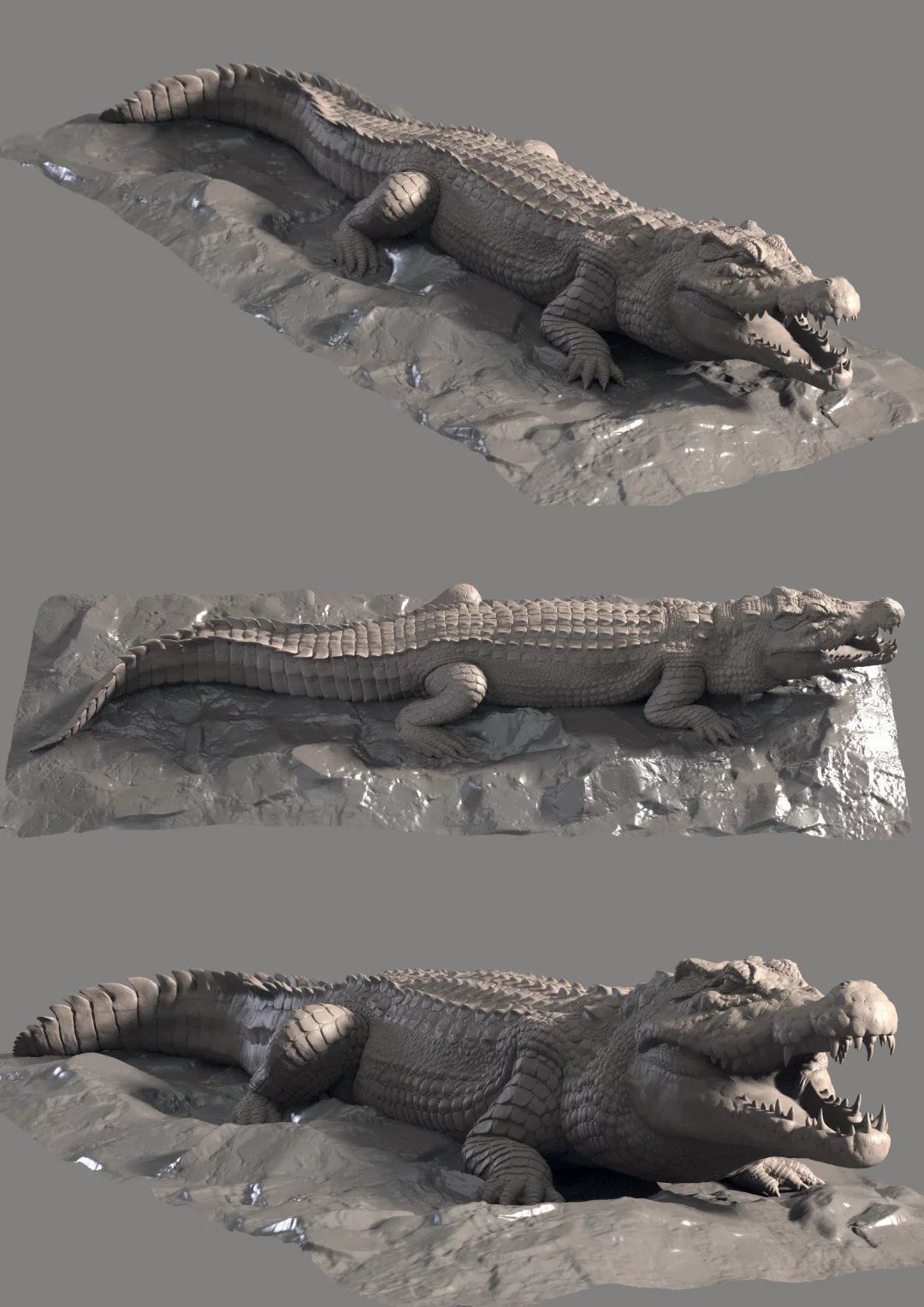Hight detailed crocodile model 3D model_3