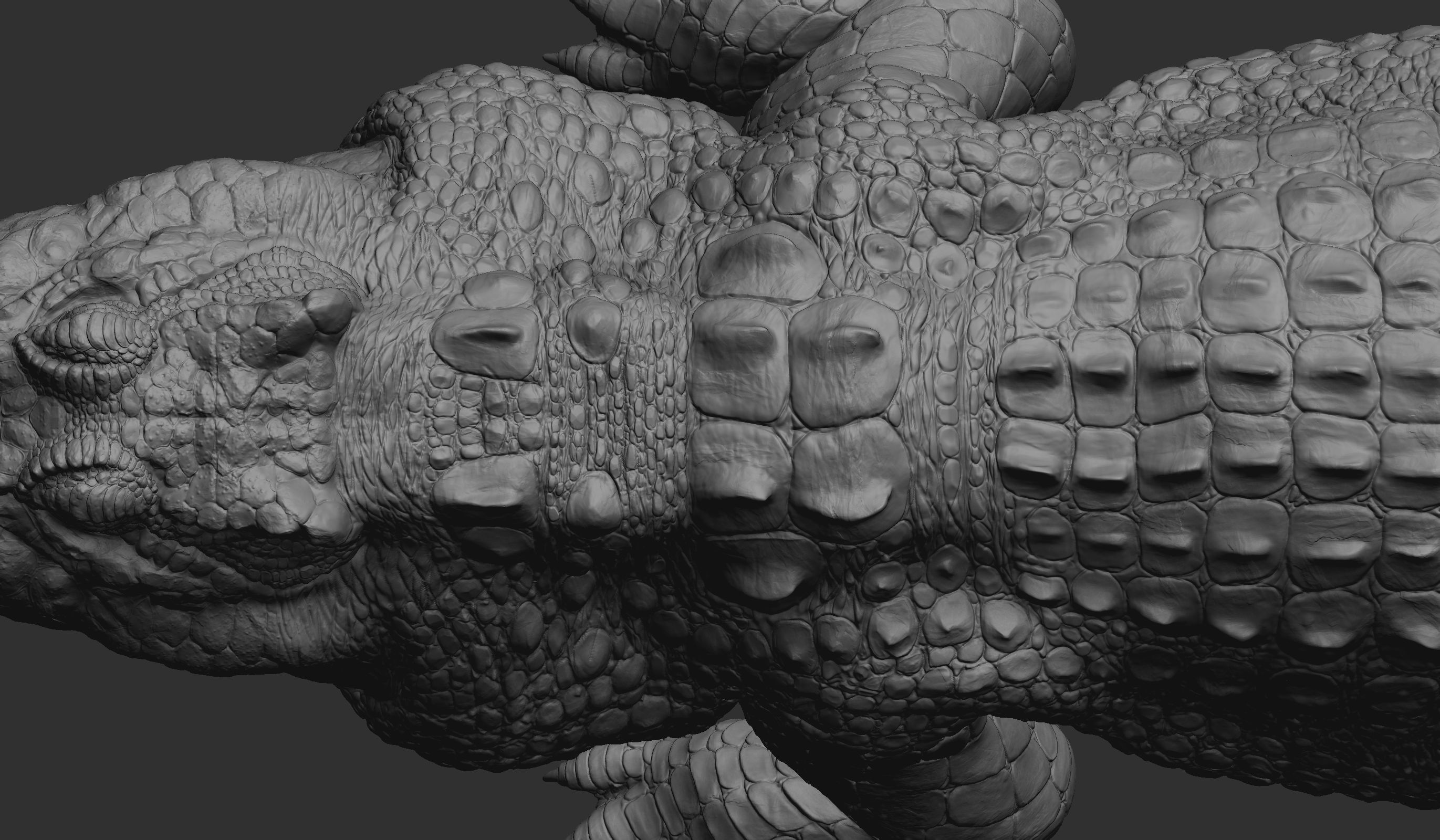 Hight detailed crocodile model 3D model_2