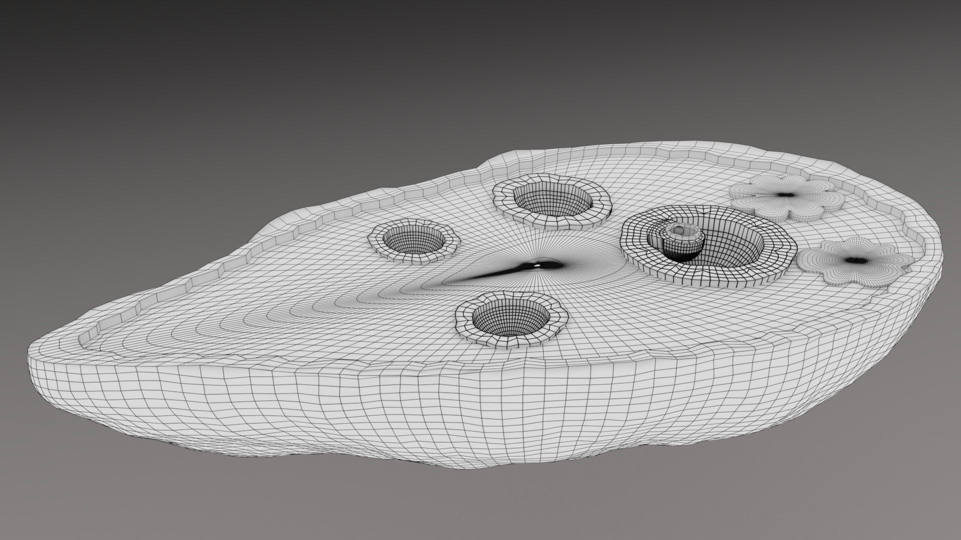 ovary cross section 3D model_8