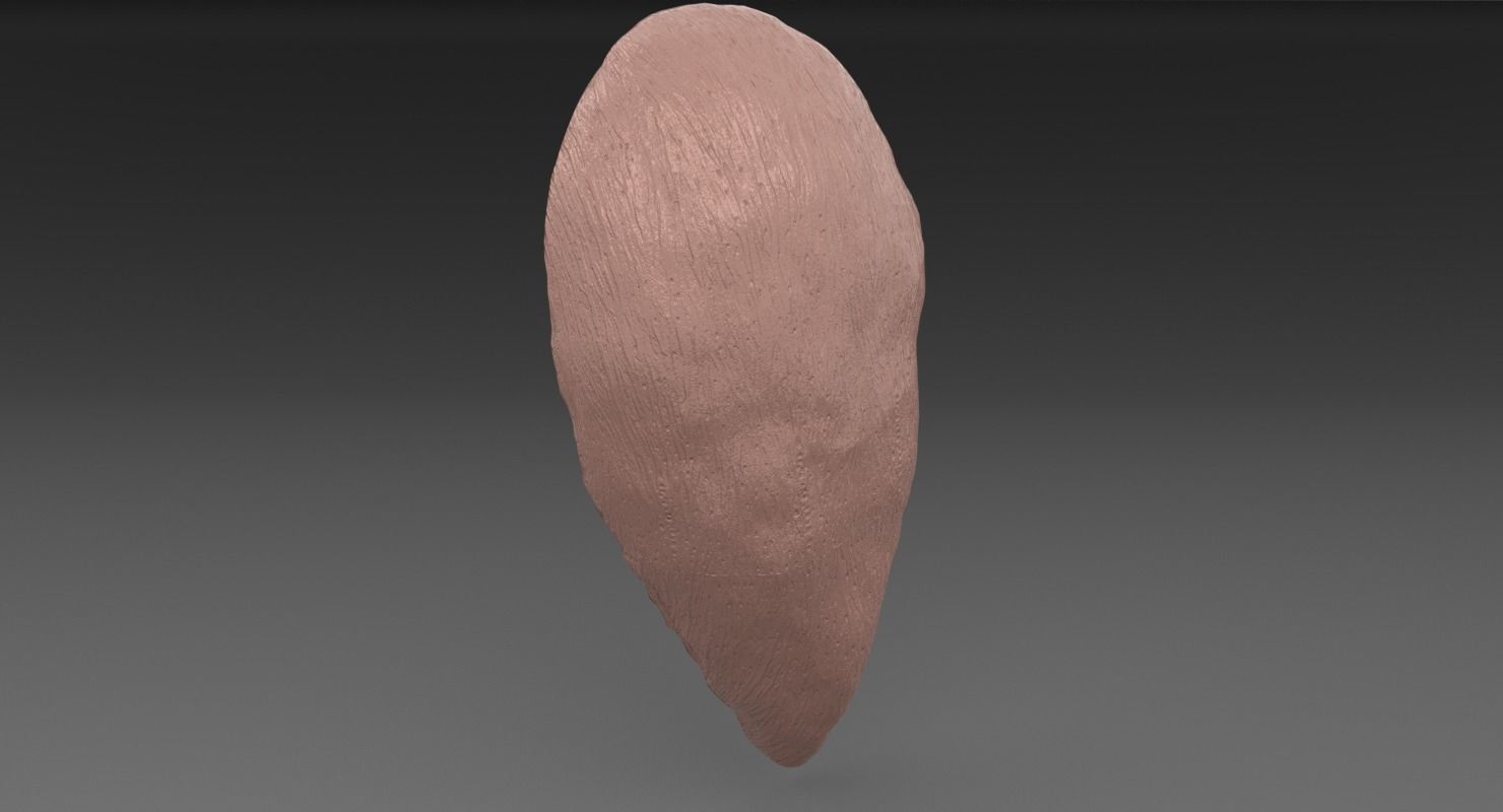 ovary cross section 3D model_41