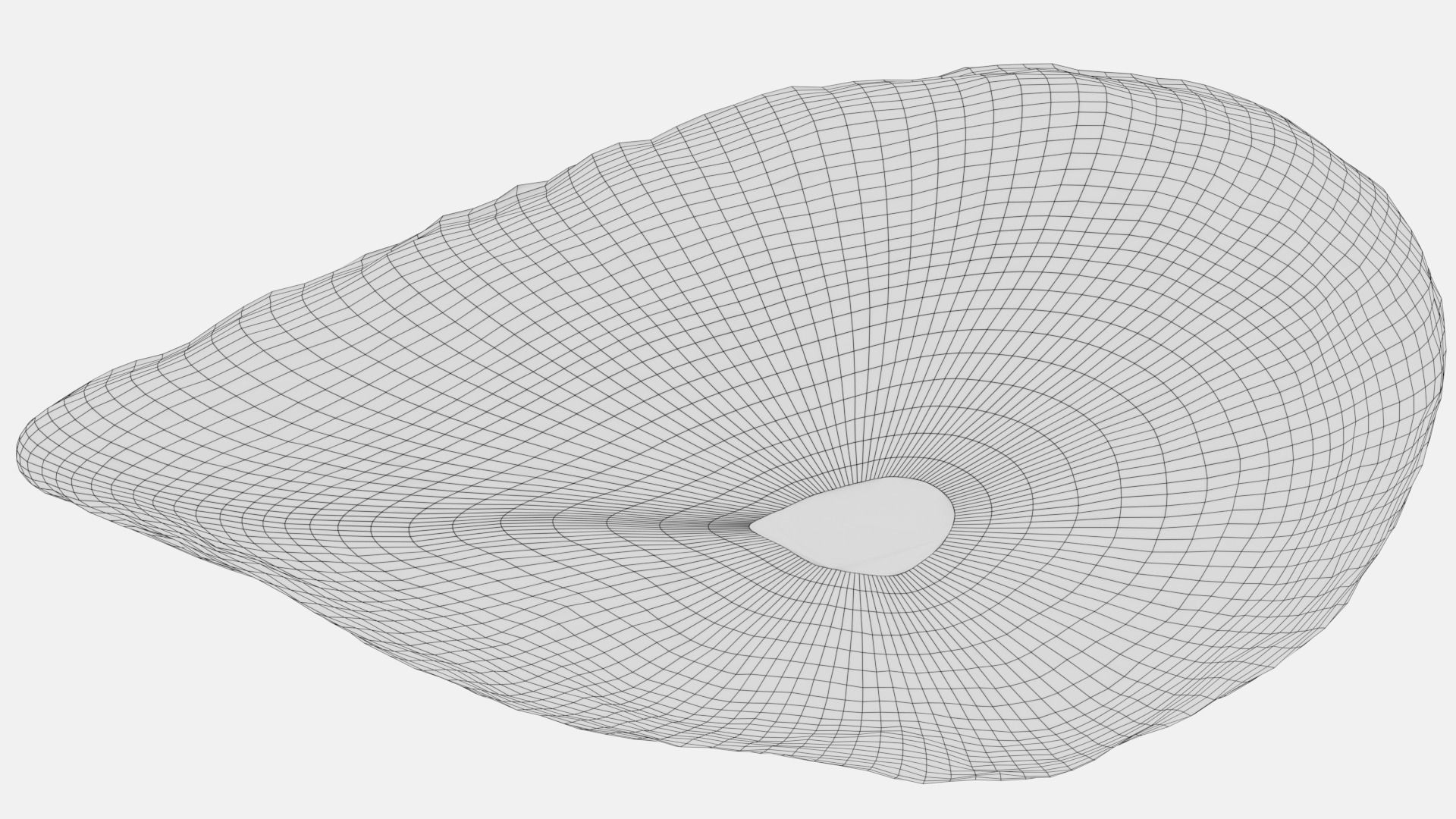 ovary cross section 3D model_7