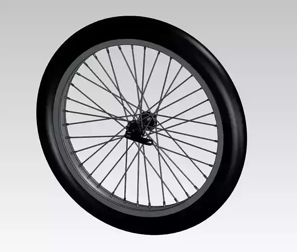 Bike Wheel