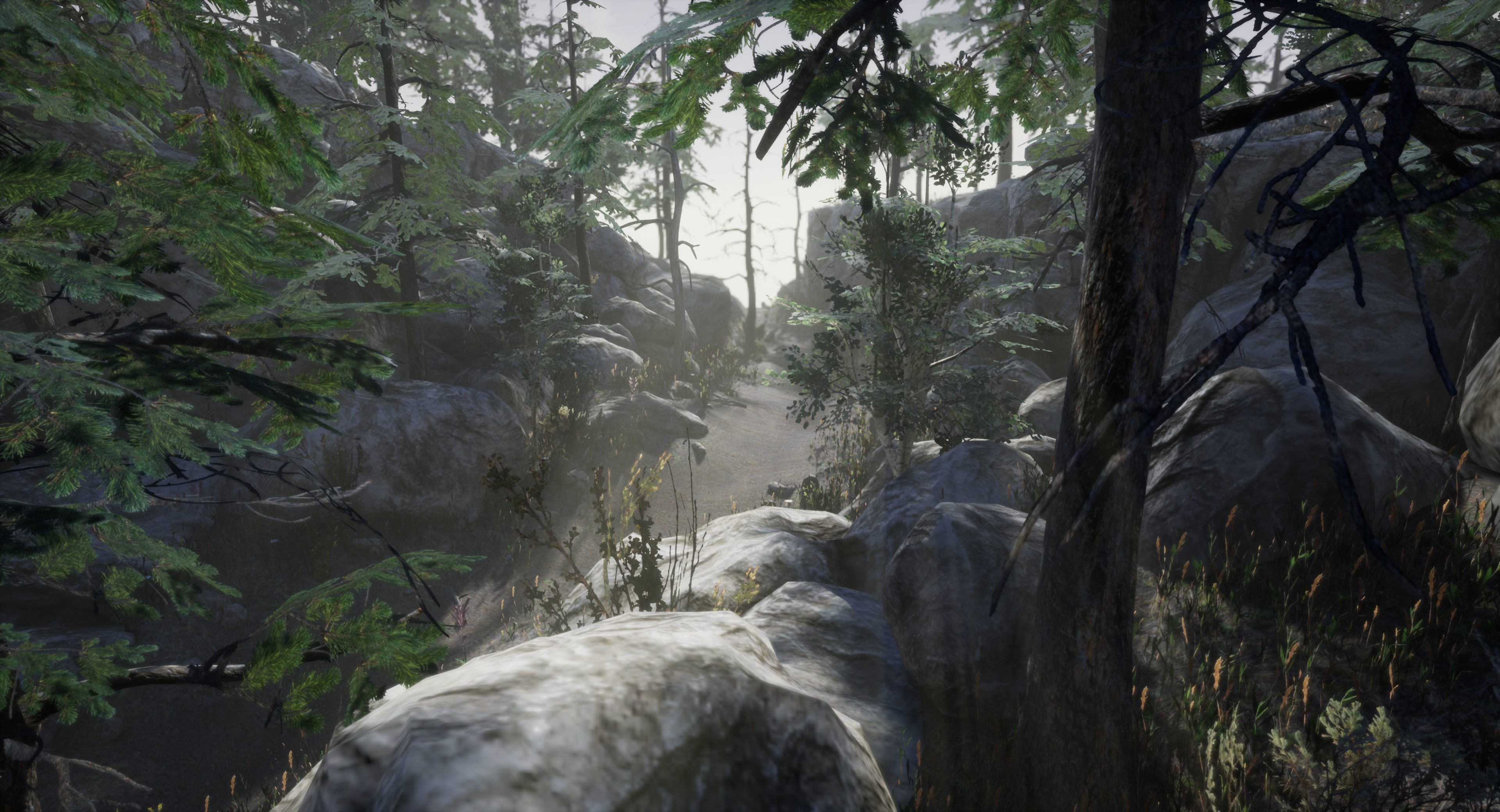 Mountain Forest Pack Low-poly 3D model_7