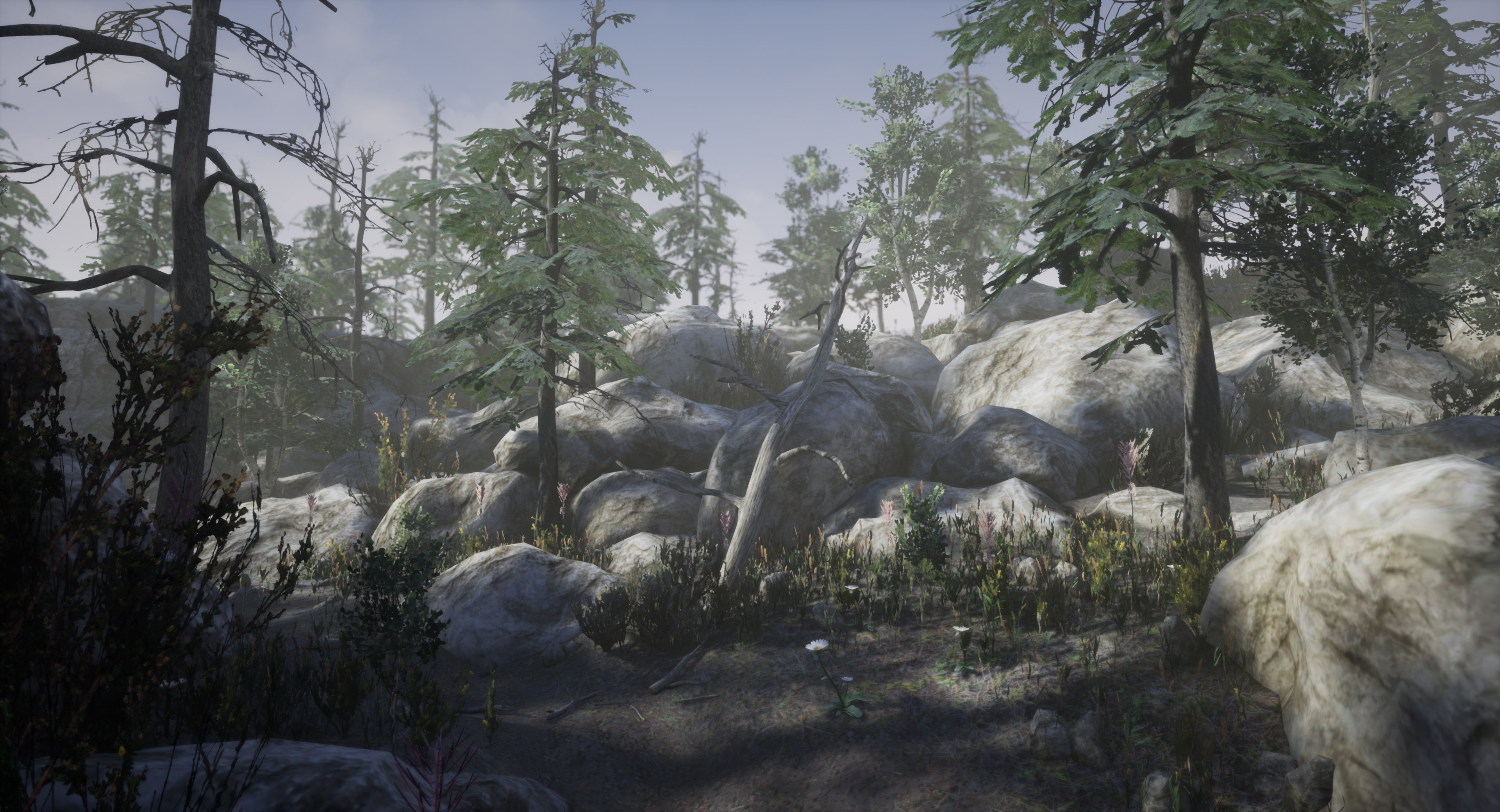 Mountain Forest Pack Low-poly 3D model_5