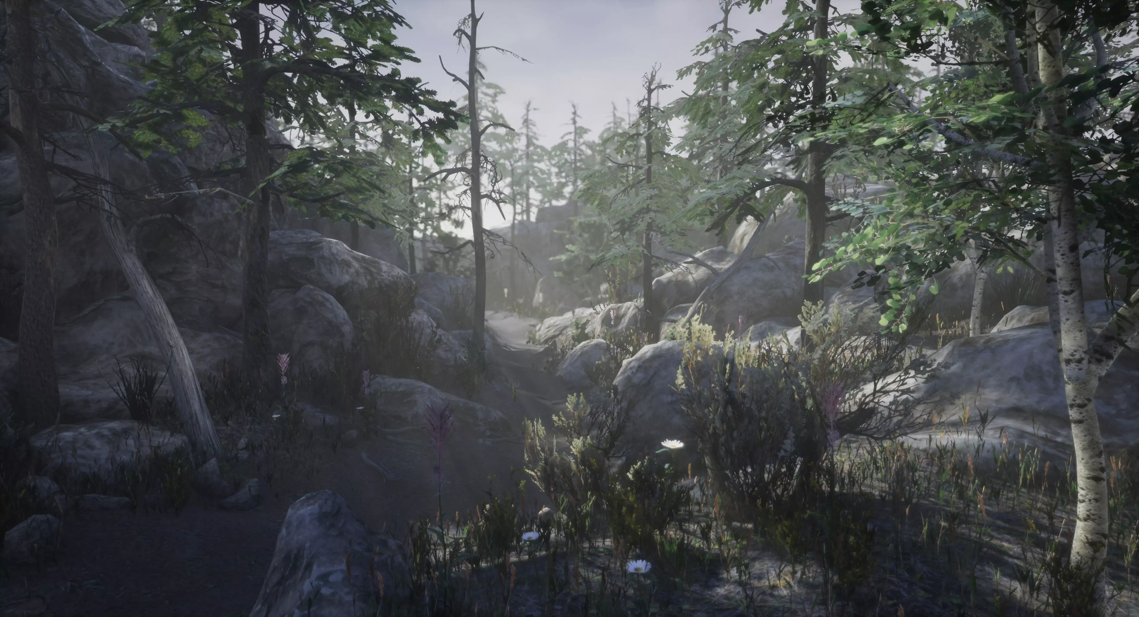 Mountain Forest Pack Low-poly 3D model_0