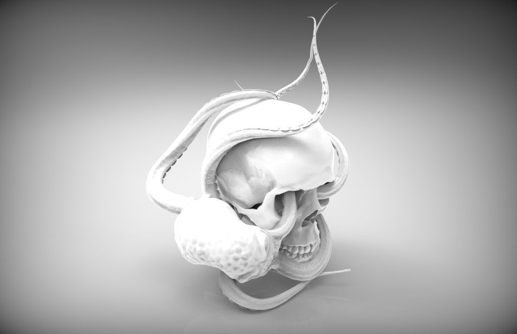 Jewelery detailed Octopus ocean sea king monster with man skull 3D print model_4
