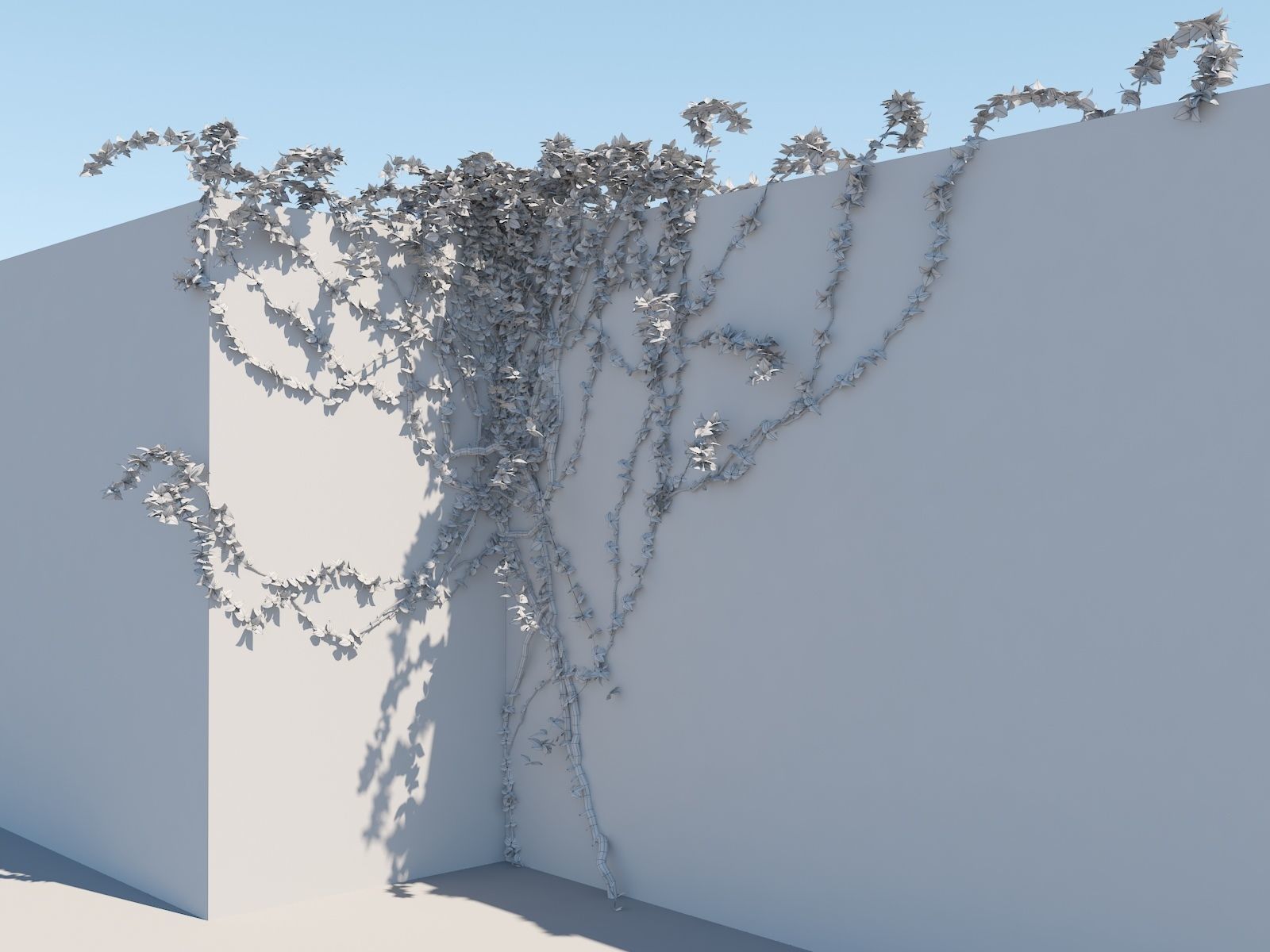 Bougainvillea Glabra 3D model_5