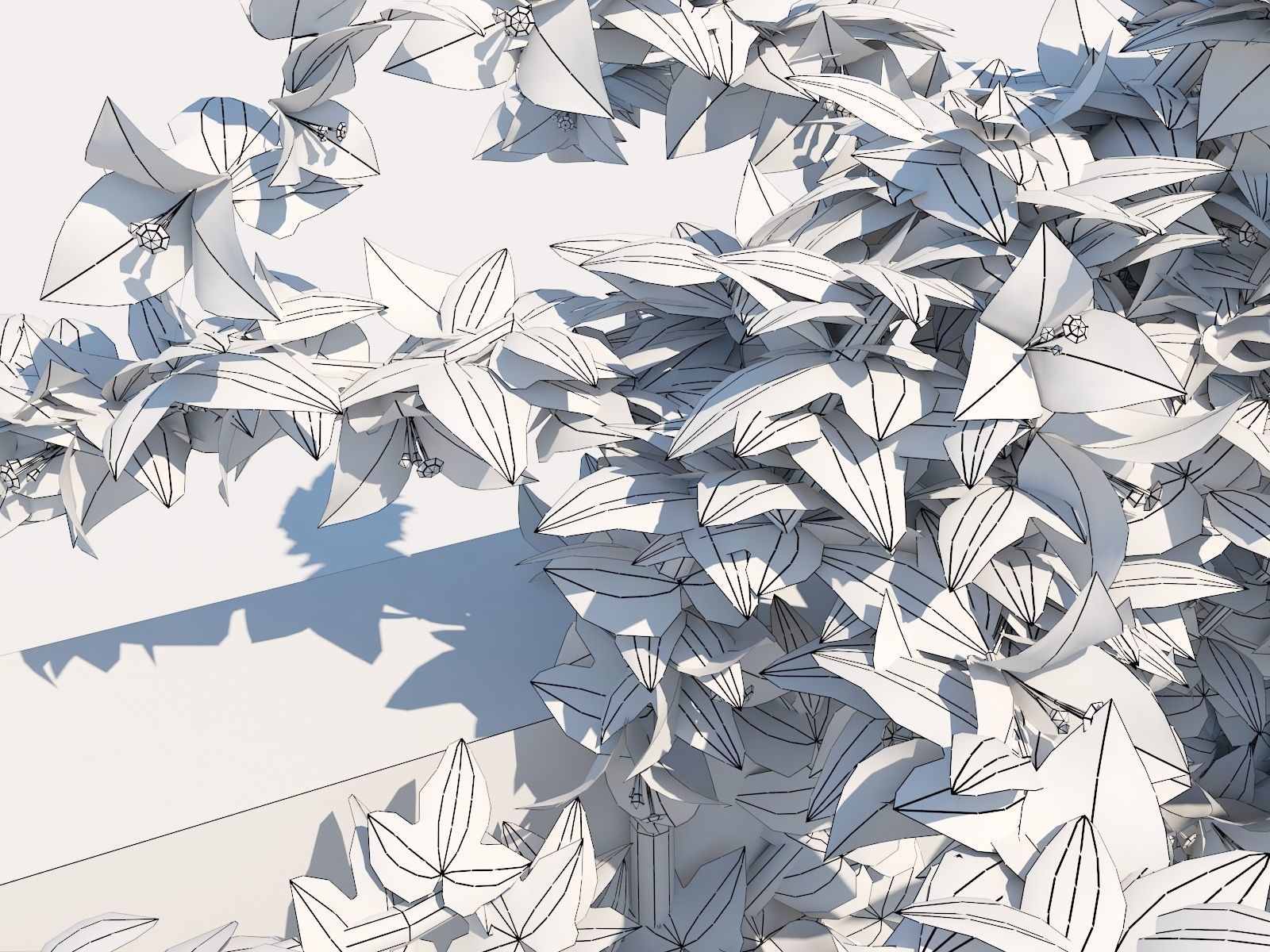 Bougainvillea Glabra 3D model_3