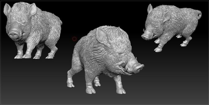 Boar-sculpt 3D print model