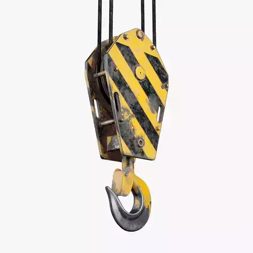 Crane Hook