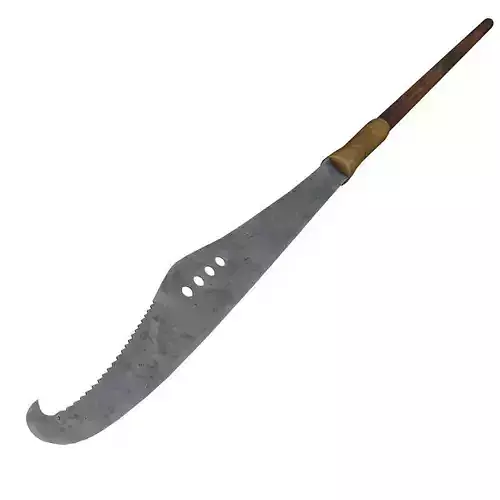 Indo-persian polearm