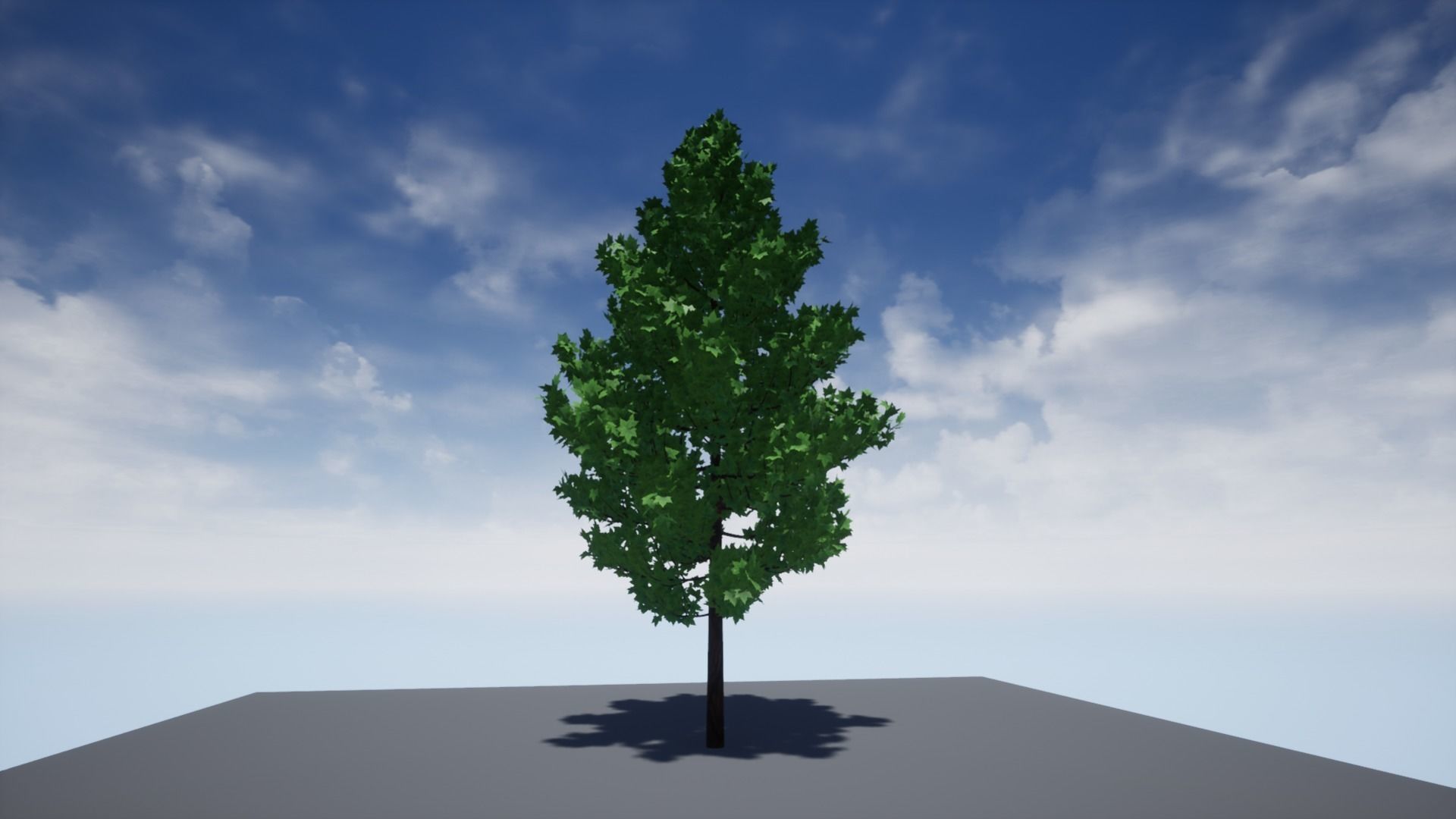 High-Poly Tree 3D model_3