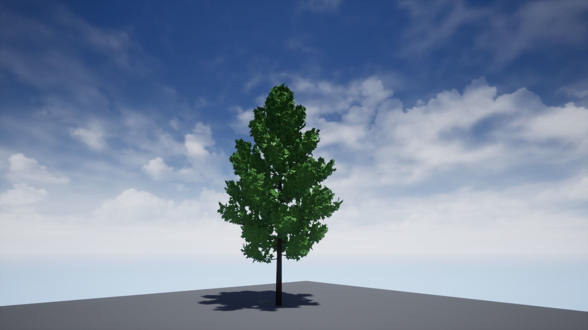 High-Poly Tree 3D model_6