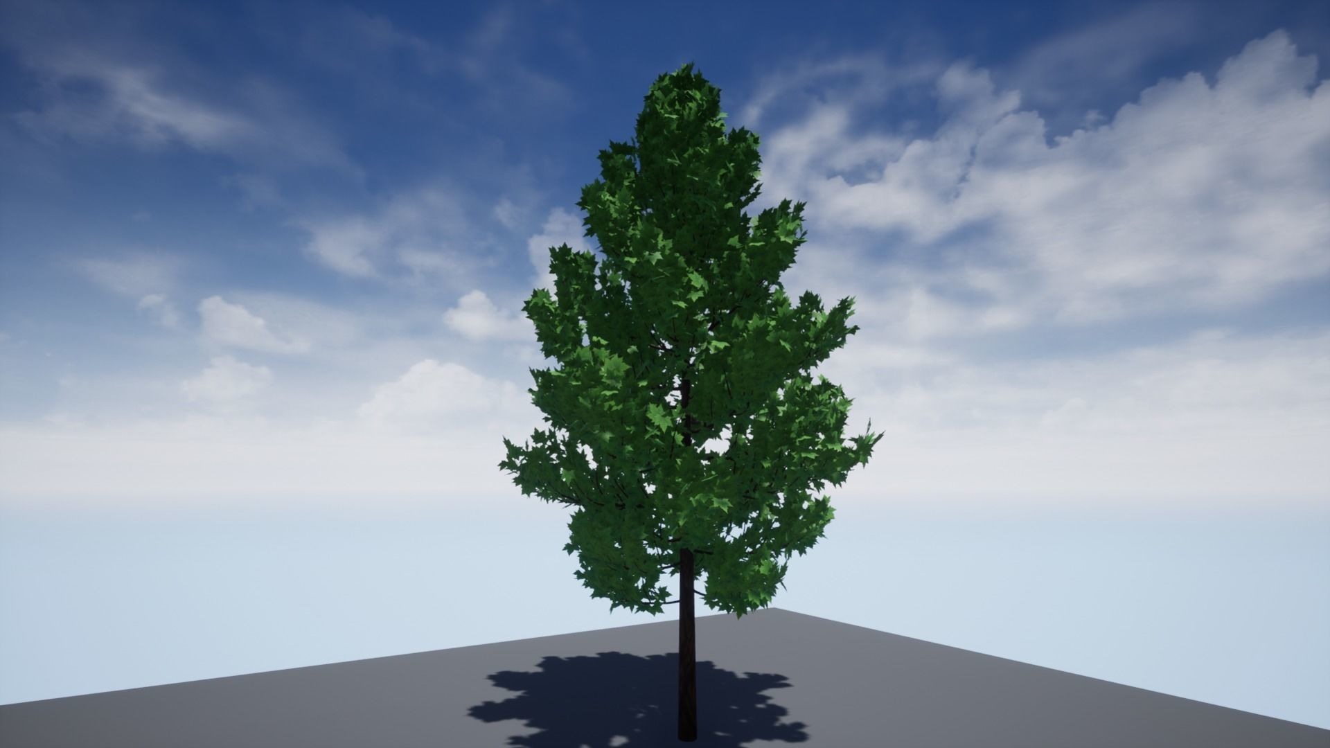 High-Poly Tree 3D model_4