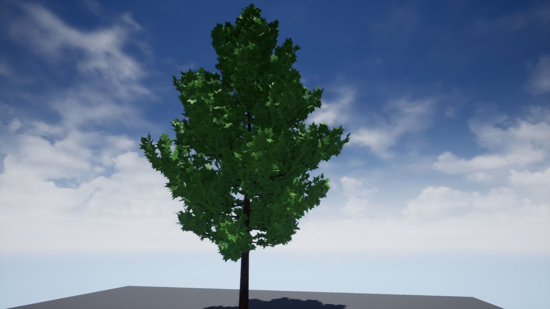 High-Poly Tree 3D model_2