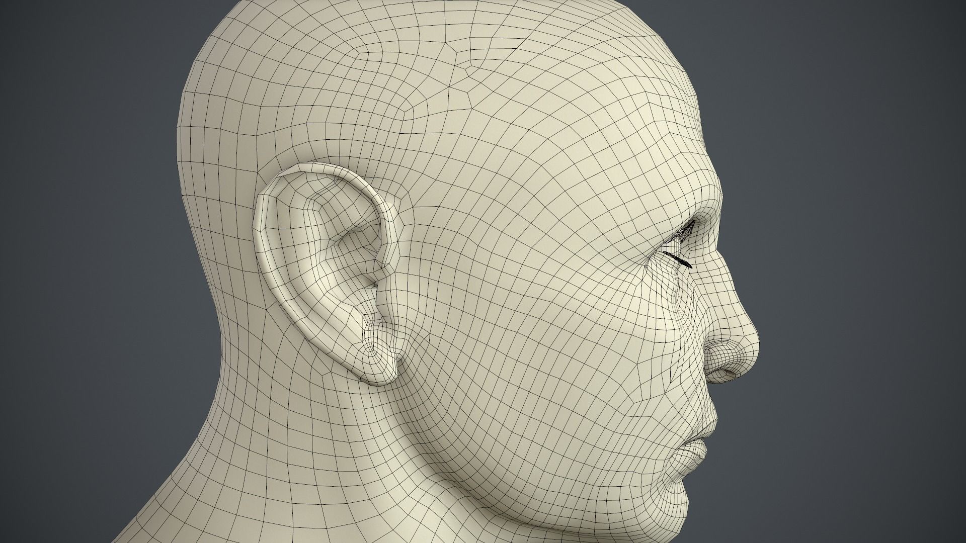 Male Head Low-poly 3D model_68